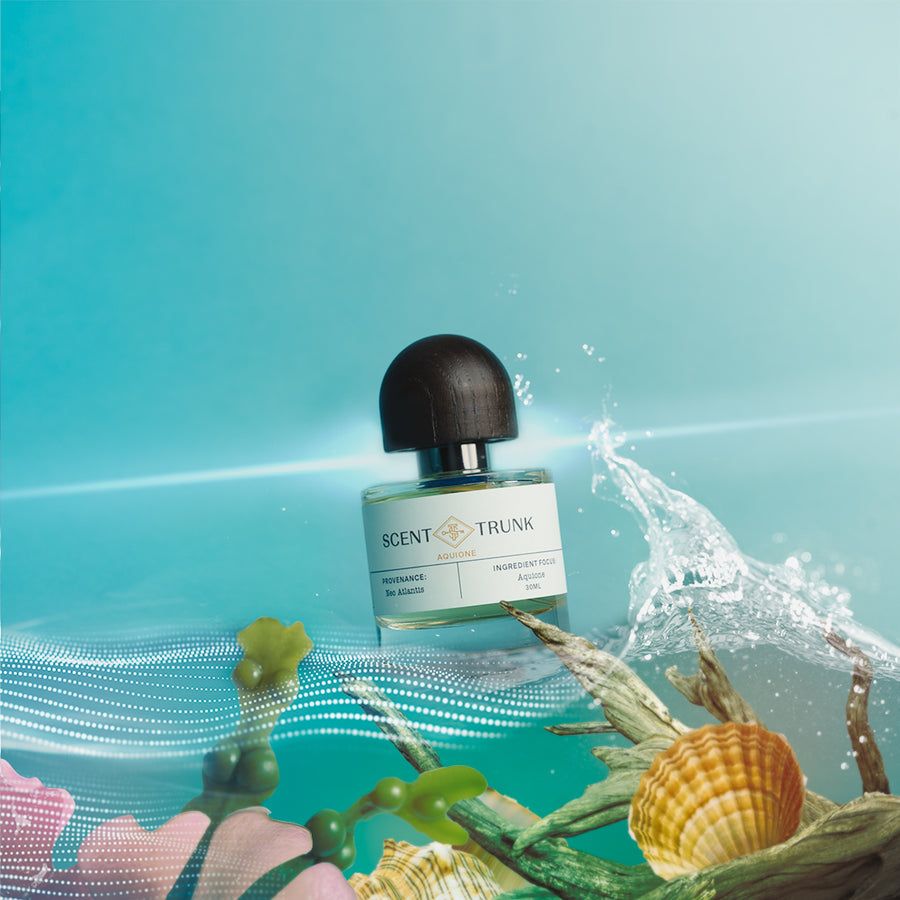 عطر ادکلن آکیونه سنت ترانک - Aquione Scent Trunk - بررسی، قیمت و خرید