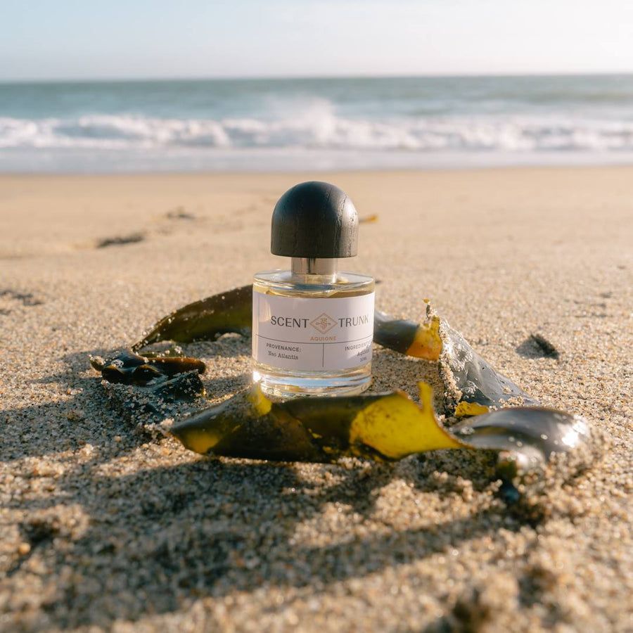 عطر ادکلن آکیونه سنت ترانک - Aquione Scent Trunk - بررسی، قیمت و خرید