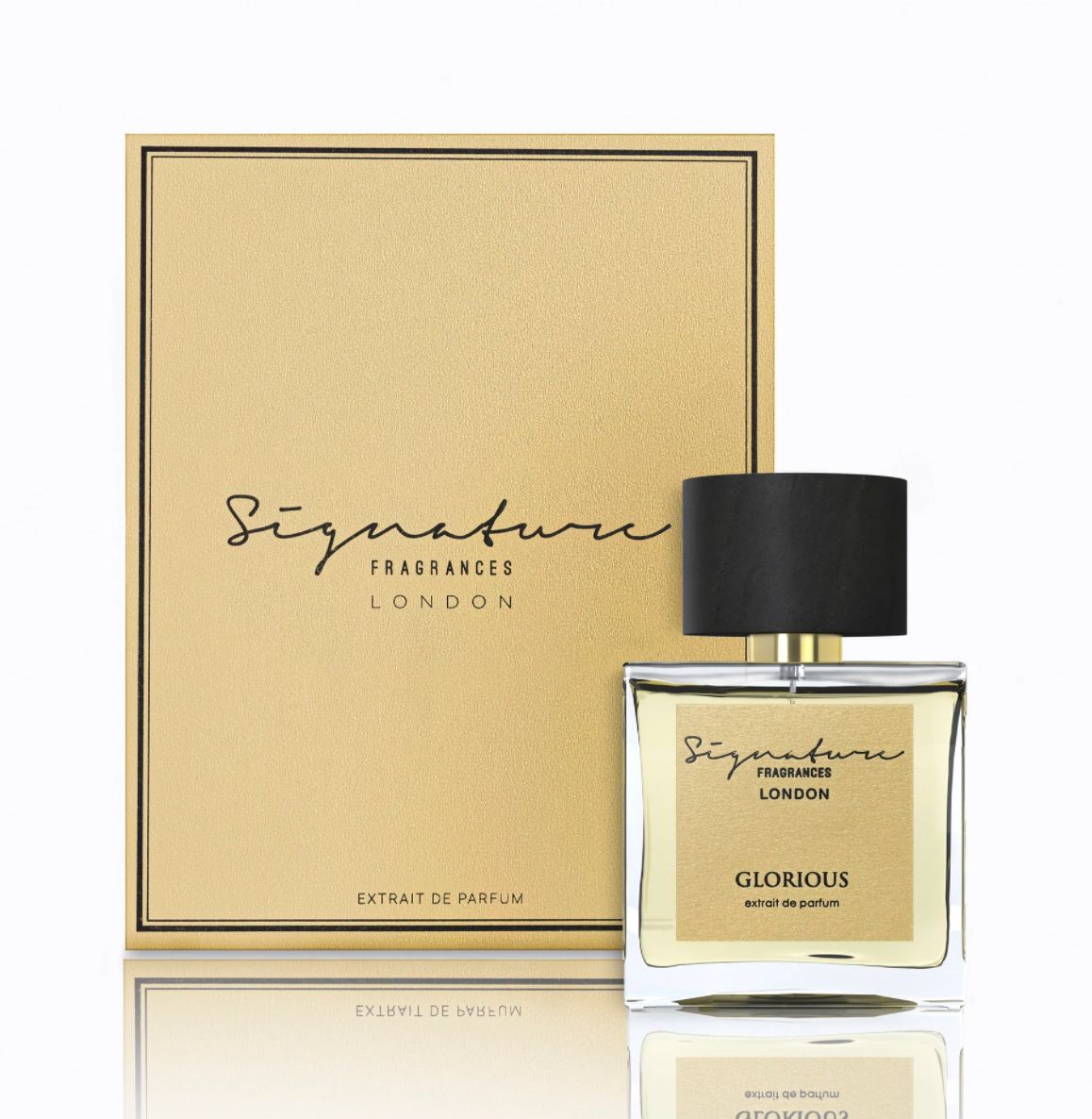 عطر ادکلن گلوریس سیگنیچر فرگرنسز - Glorious Signature Fragrances - بررسی، قیمت و خرید