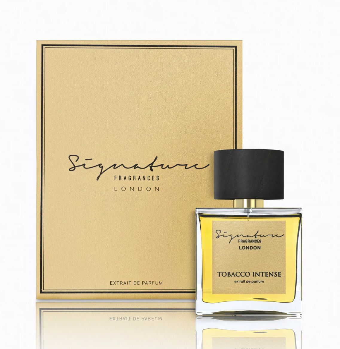 عطر ادکلن تاباکو اینتنس سیگنیچر فراگرنسز - Tobacco Intense Signature Fragrances - بررسی، قیمت و خرید