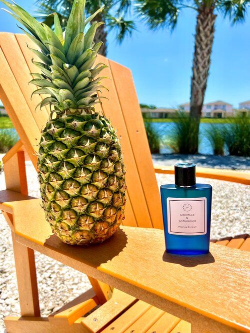 عطر ادکلن کوکتل و کاتاماران سنت جورنی - Cocktails & Catamarans Scent Journey - بررسی، قیمت و خرید