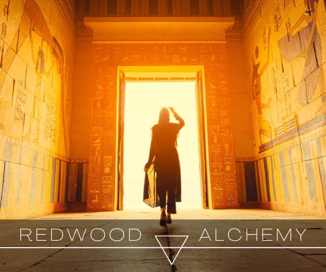 عطر ادکلن آنوبیس ردوود آلکمی - Anubis Redwood Alchemy - بررسی، قیمت و خرید