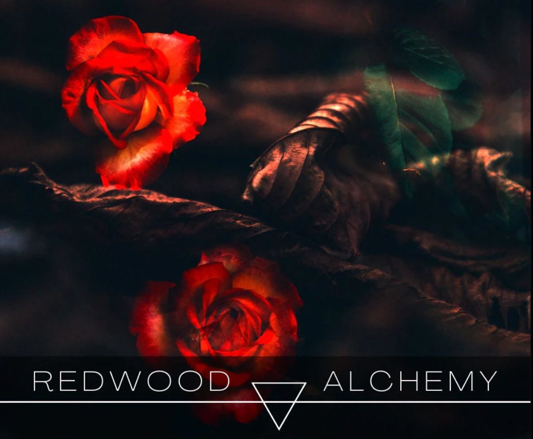 عطر ادکلن کال گرل ردوود آلکِمی - Call Girl Redwood Alchemy - بررسی، قیمت و خرید