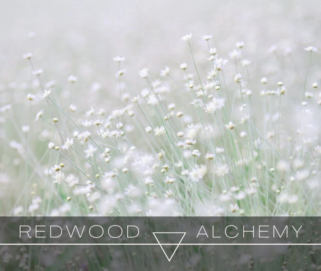 عطر ادکلن الیسیا ردوود آلکمی - Elysia Redwood Alchemy - بررسی، قیمت و خرید