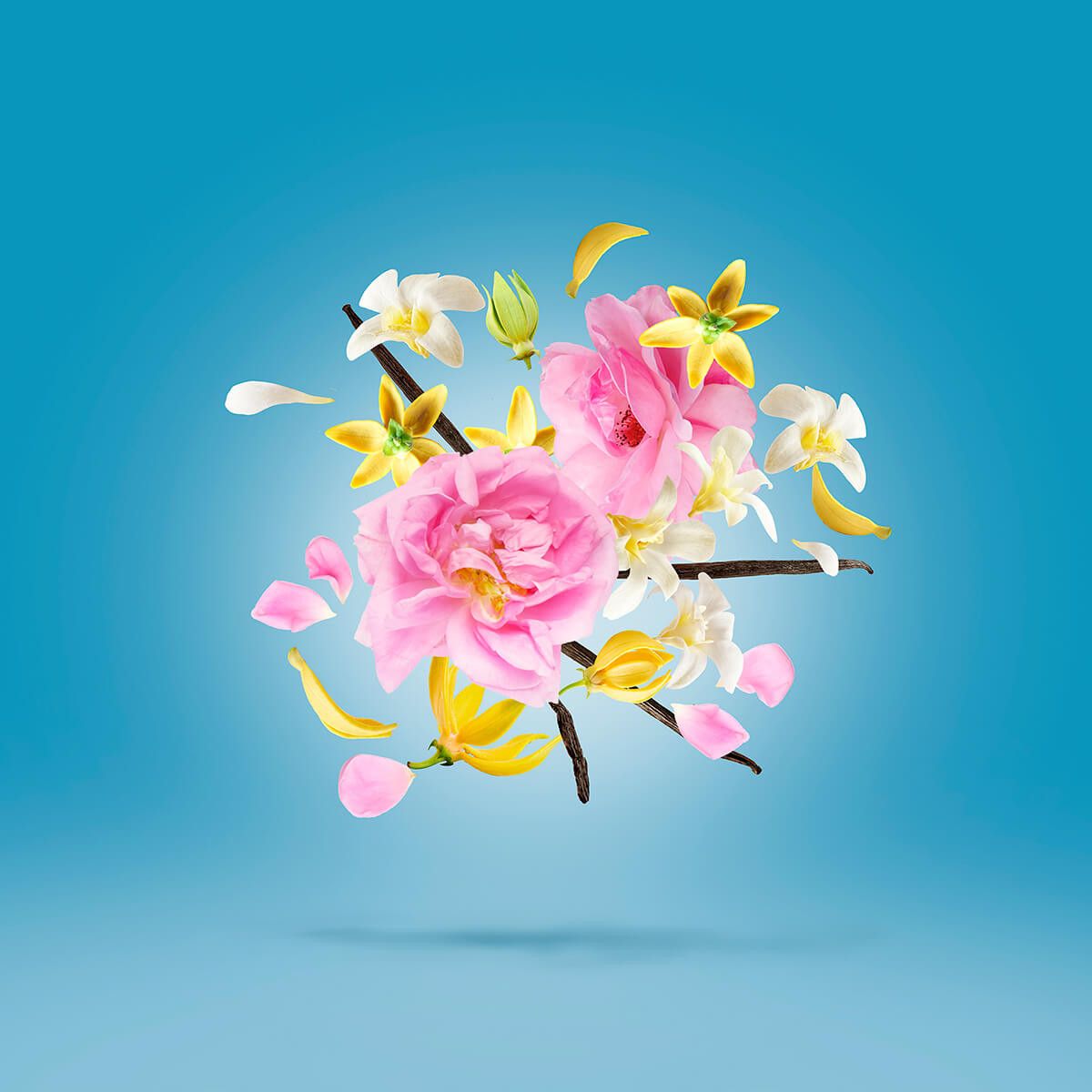 عطر ادکلن امفورای بیست و هفت زرژوف - Amphorae 27 Xerjoff - بررسی، قیمت و خرید