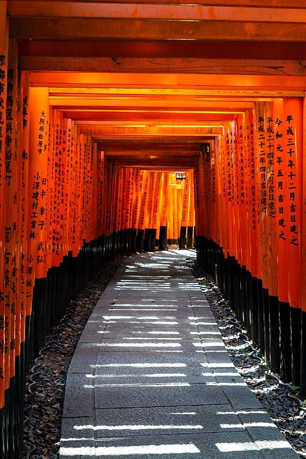 عطر ادکلن کیوتو راجانی - Kyoto Rajani - بررسی، قیمت و خرید