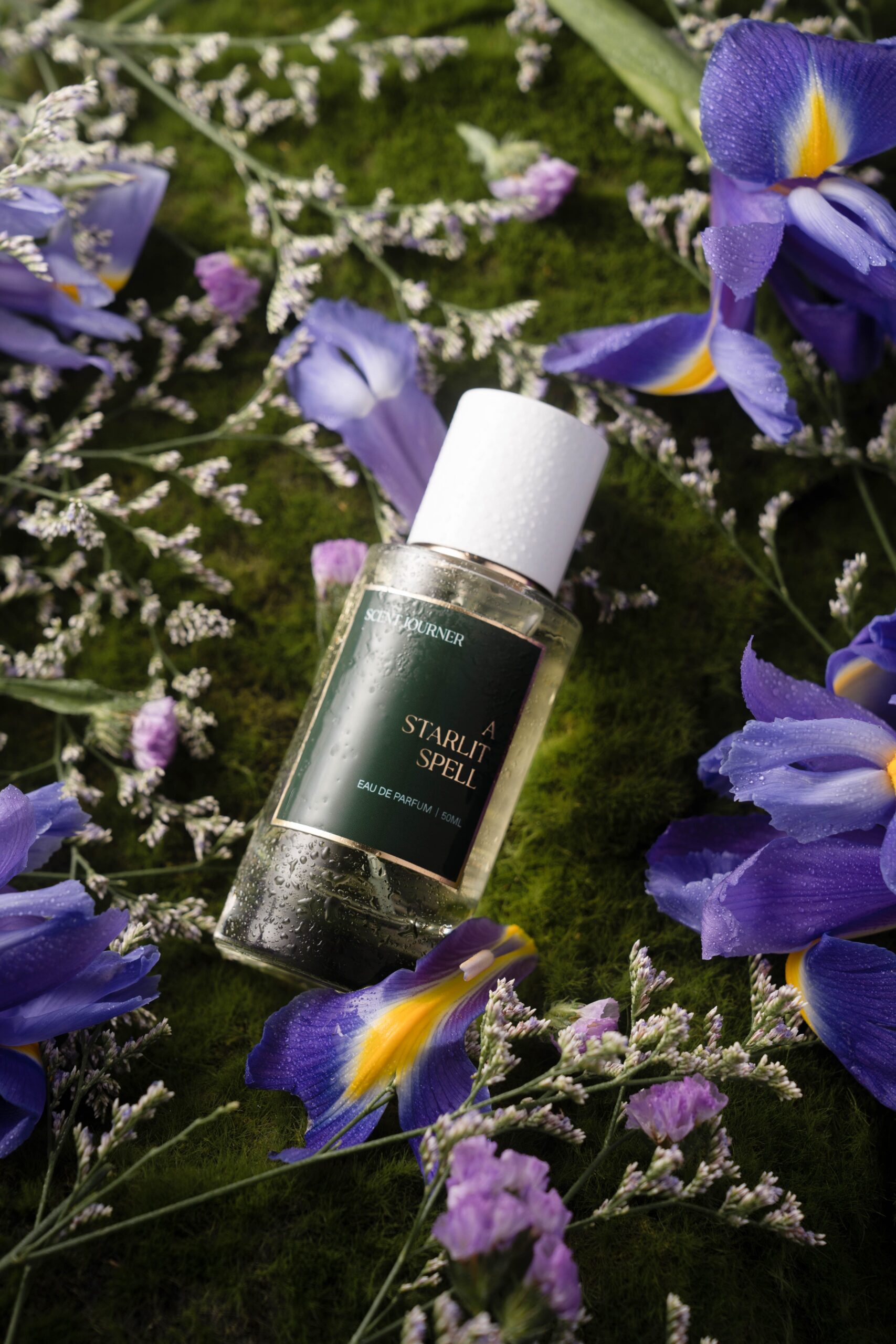 عطر ادکلن استارلیت اسپل سنت ژورنر - A Starlit Spell Scent Journer - بررسی، قیمت و خرید