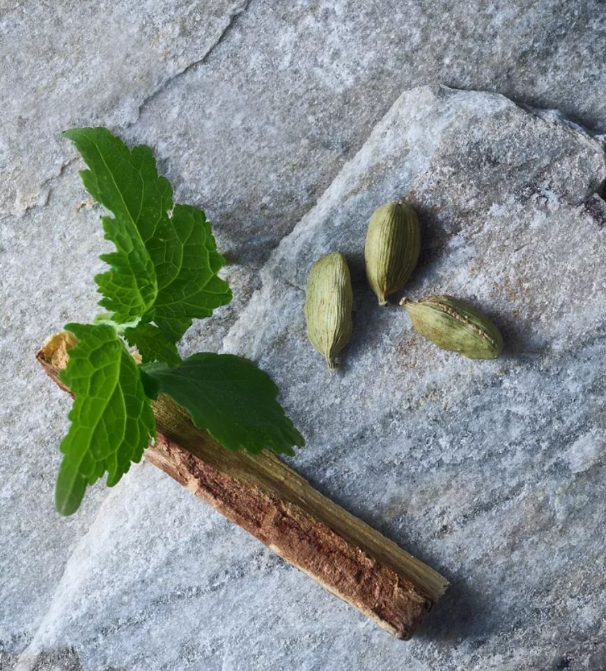 عطر ادکلن لسانسیل ریچوالز - L'Essentiel Rituals - بررسی، قیمت و خرید