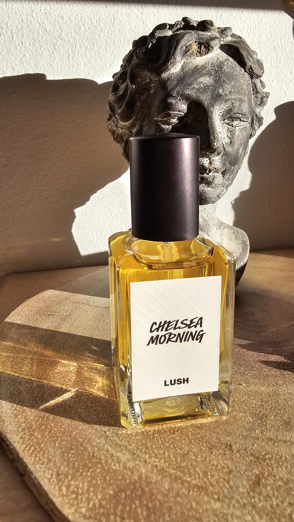 عطر ادکلن چلسی مورنینگ /lʌʃ/ - Chelsea Morning Lush - بررسی، قیمت و خرید