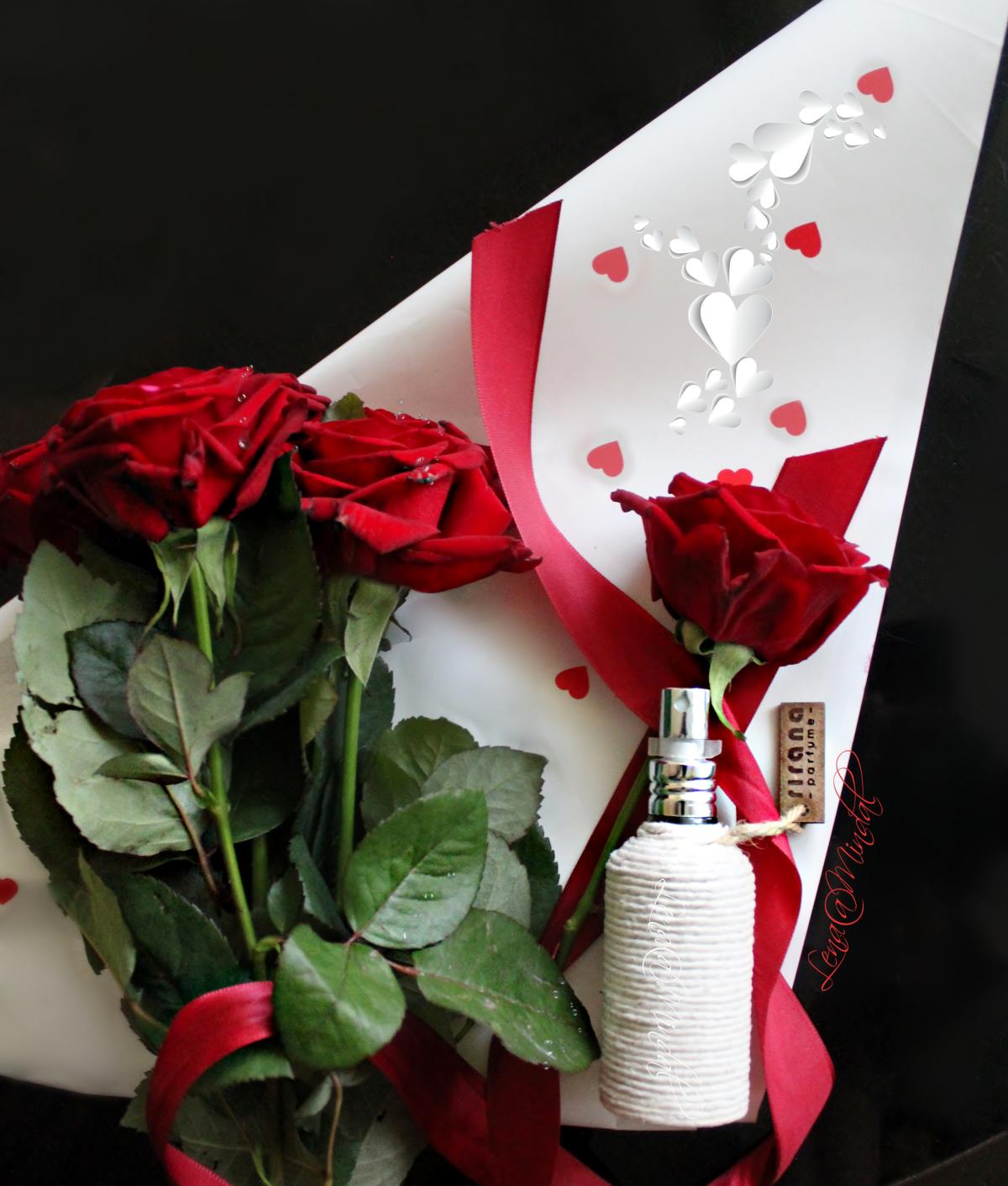 عطر ادکلن پلام رز ریرانا پرفیوم - Plum Rose Rirana Parfume - بررسی، قیمت و خرید