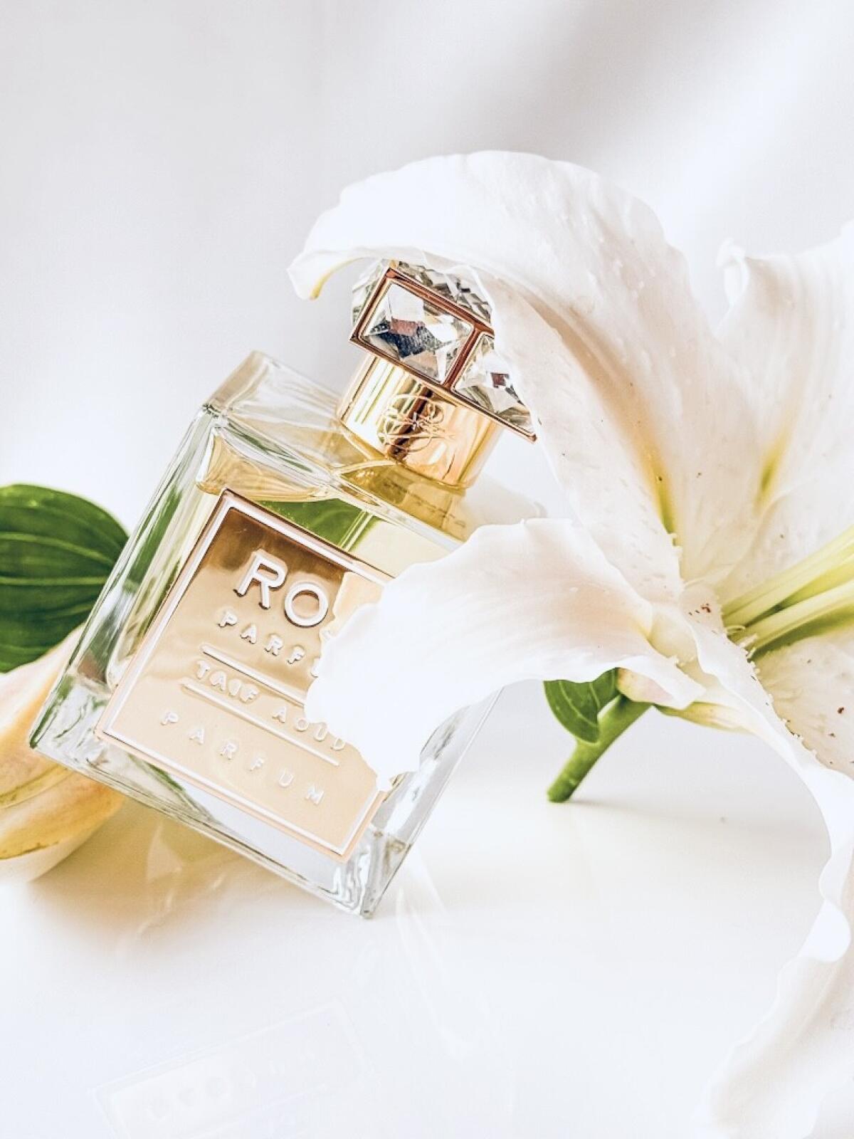 عطر ادکلن طایف عود روژا داو - Taif Aoud Roja Dove - بررسی، قیمت و خرید