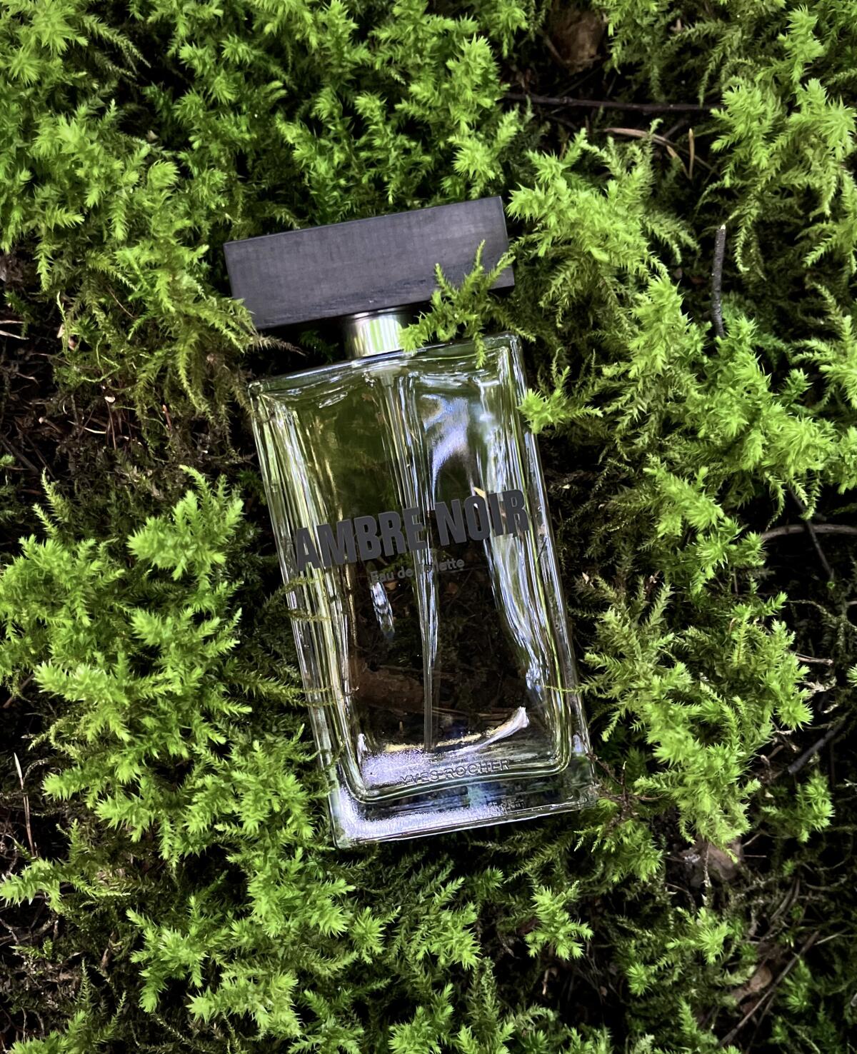 عطر ادکلن آمبر نوآر ایوروشه - Ambre Noir Yves Rocher - بررسی، قیمت و خرید