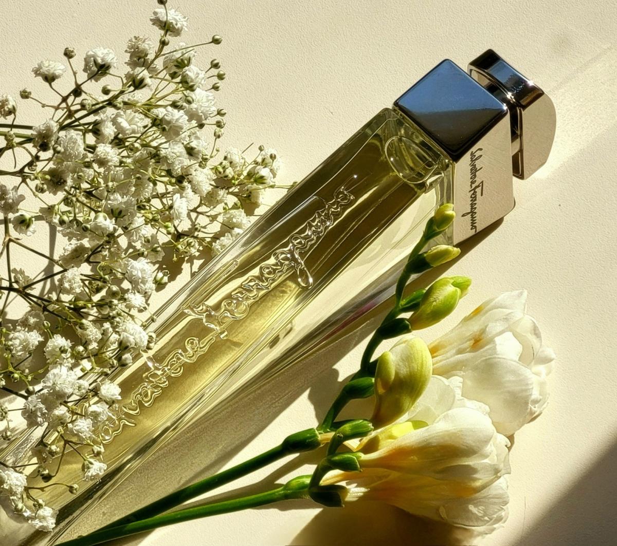 عطر ادکلن سالواتوره فراگامو پور فم سالواتوره فراگامو - Salvatore Ferragamo pour Femme Salvatore Ferragamo - بررسی، قیمت و خرید