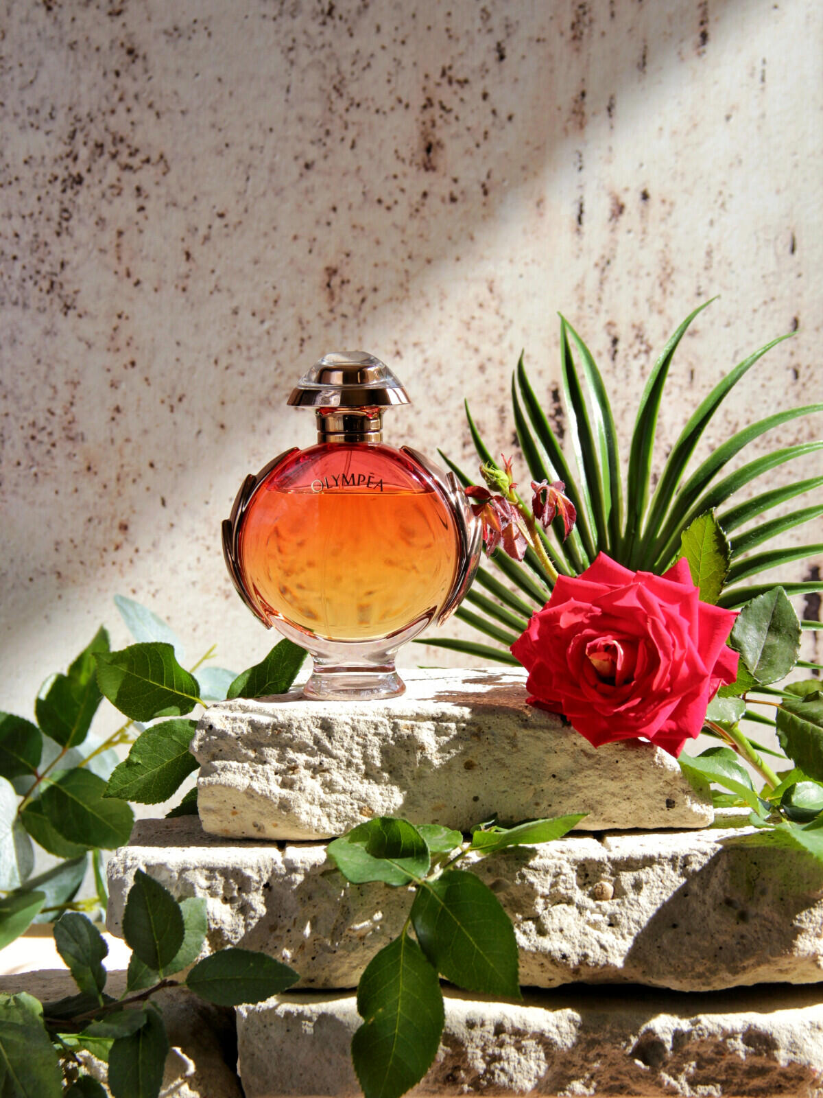 عطر ادکلن الیپیا لجند ربان - Olympea Legend Rabanne - بررسی، قیمت و خرید