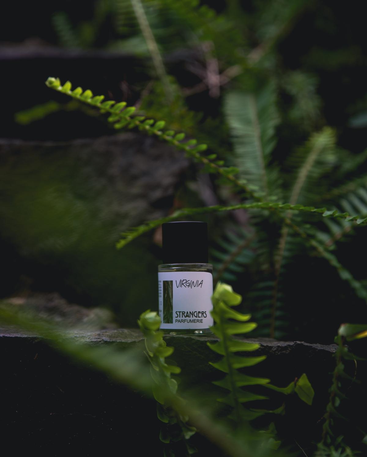 عطر ادکلن ویرجینیا استرنجرز پرفیومری - Virginia Strangers Parfumerie - بررسی، قیمت و خرید