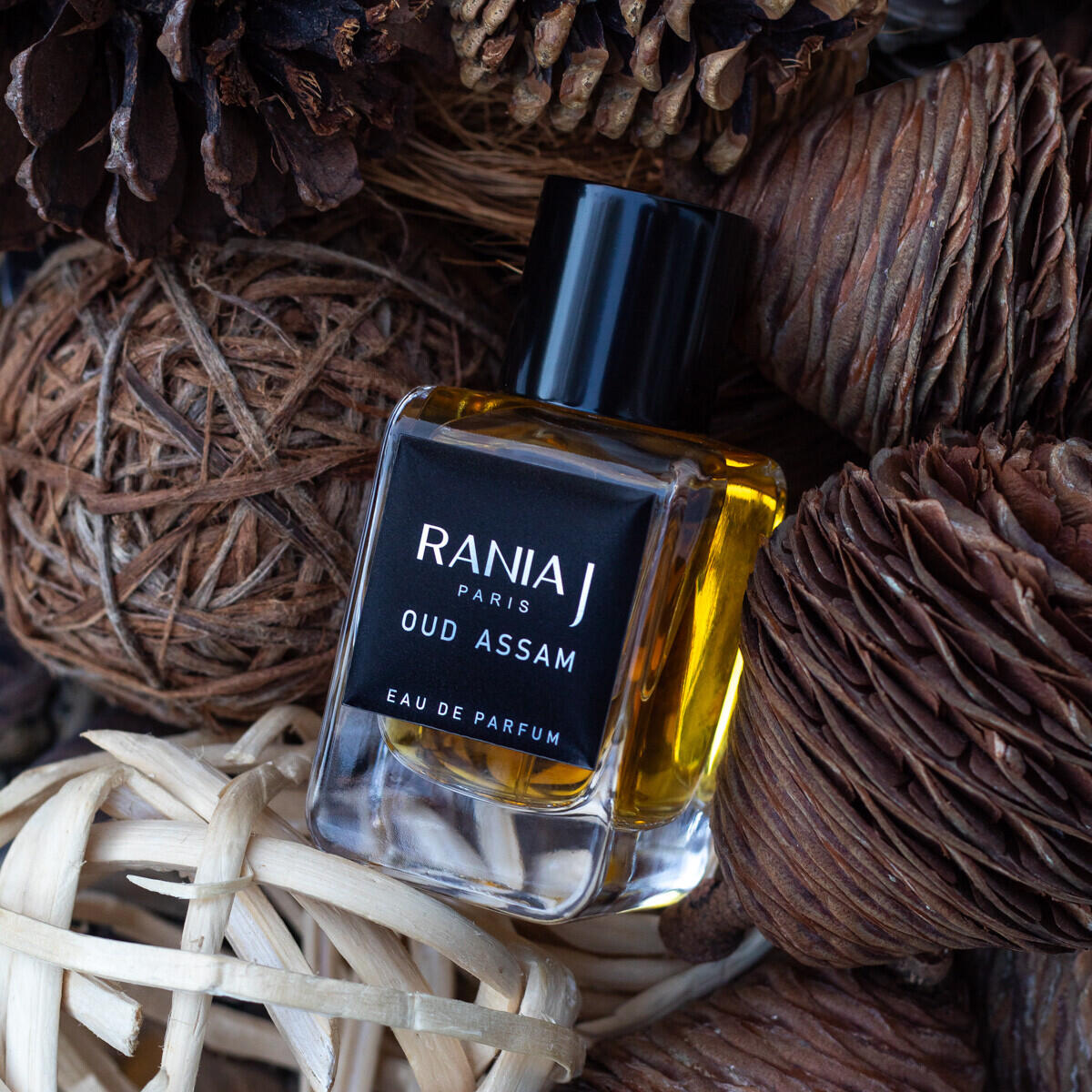 عطر ادکلن عود آسام رانیه جِی - Oud Assam Rania J - بررسی، قیمت و خرید