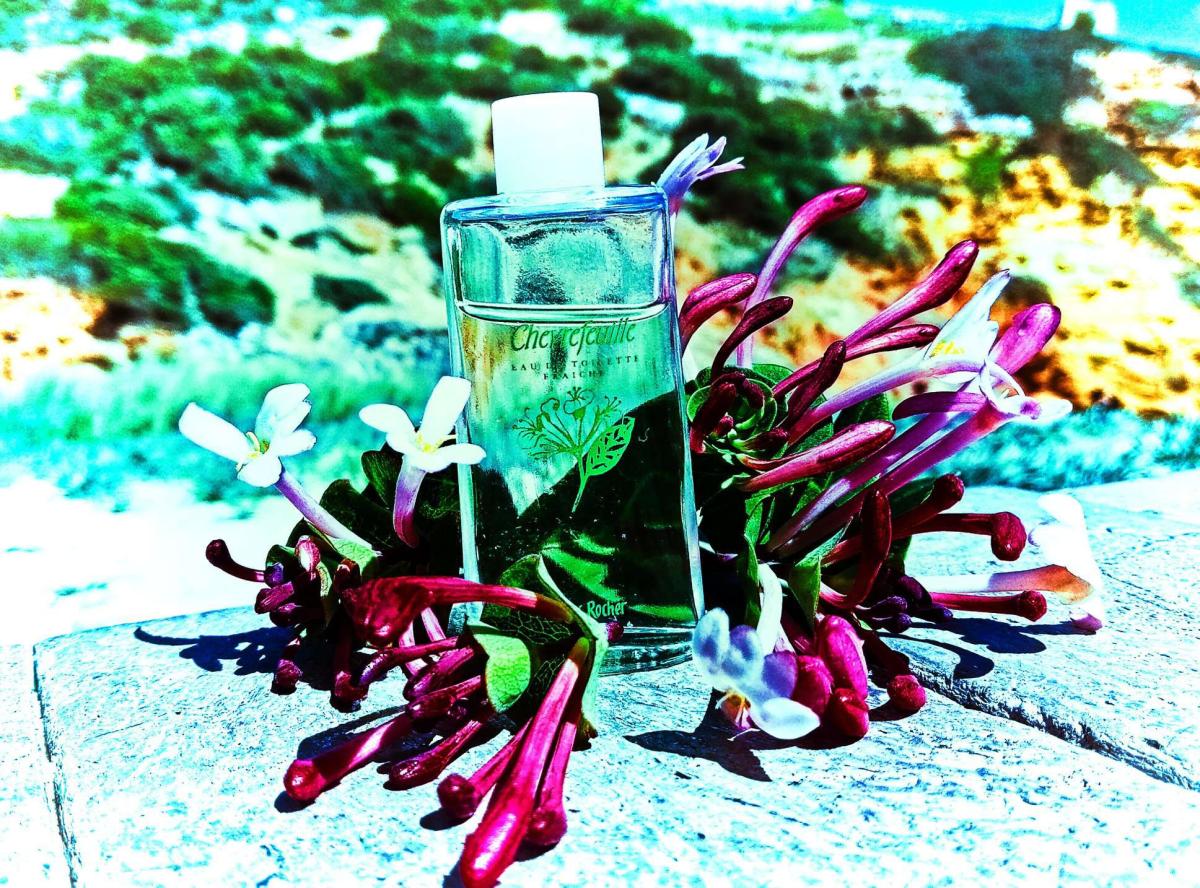 عطر ادکلن شوِرفویل ایوز روشه - Chevrefeuille Yves Rocher - بررسی، قیمت و خرید