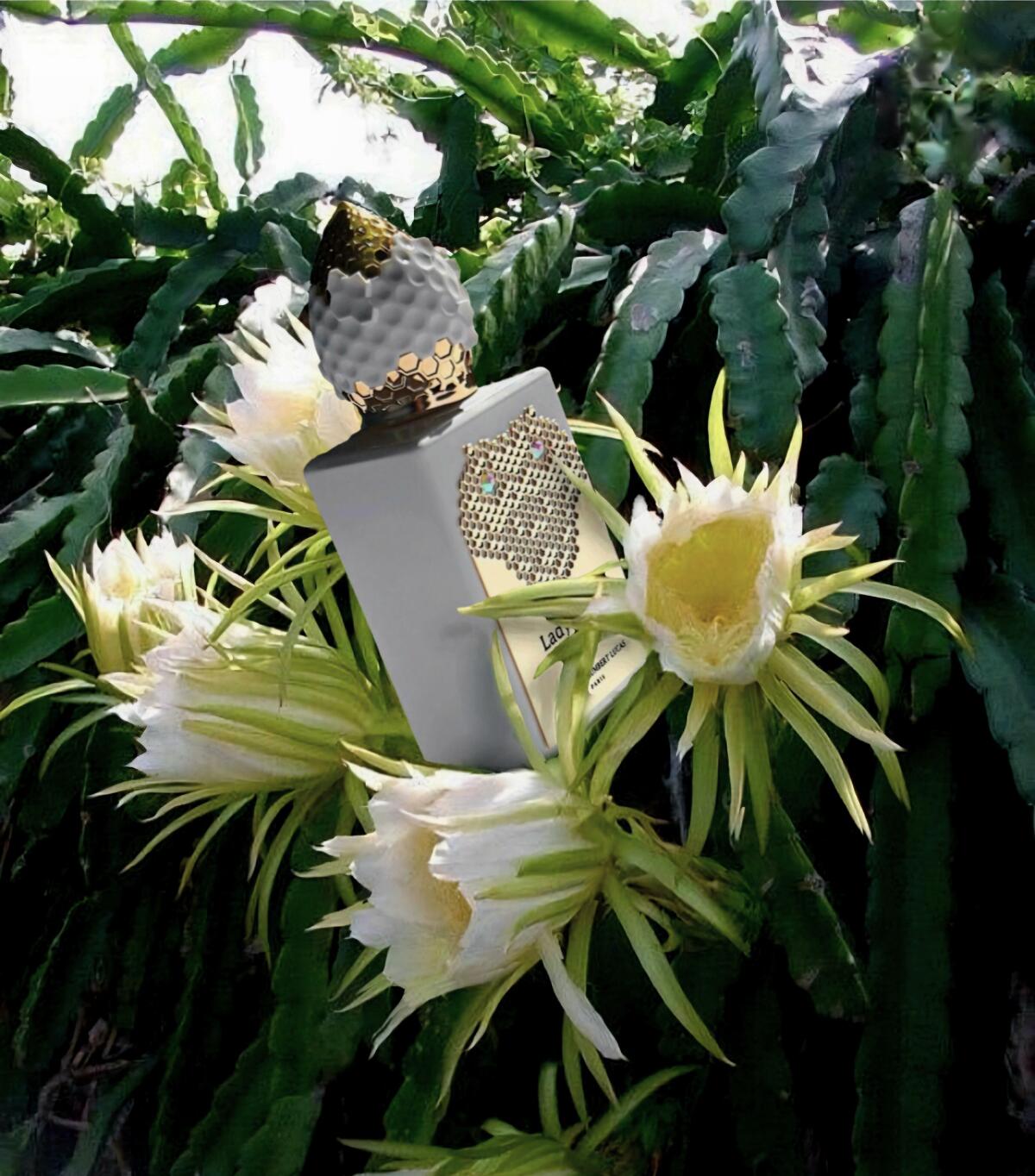 عطر ادکلن لیدی وایت اسنیک استفان هامبرت لوکاس ۷۷۷ - Lady White Snake Stéphane Humbert Lucas 777 - بررسی، قیمت و خرید