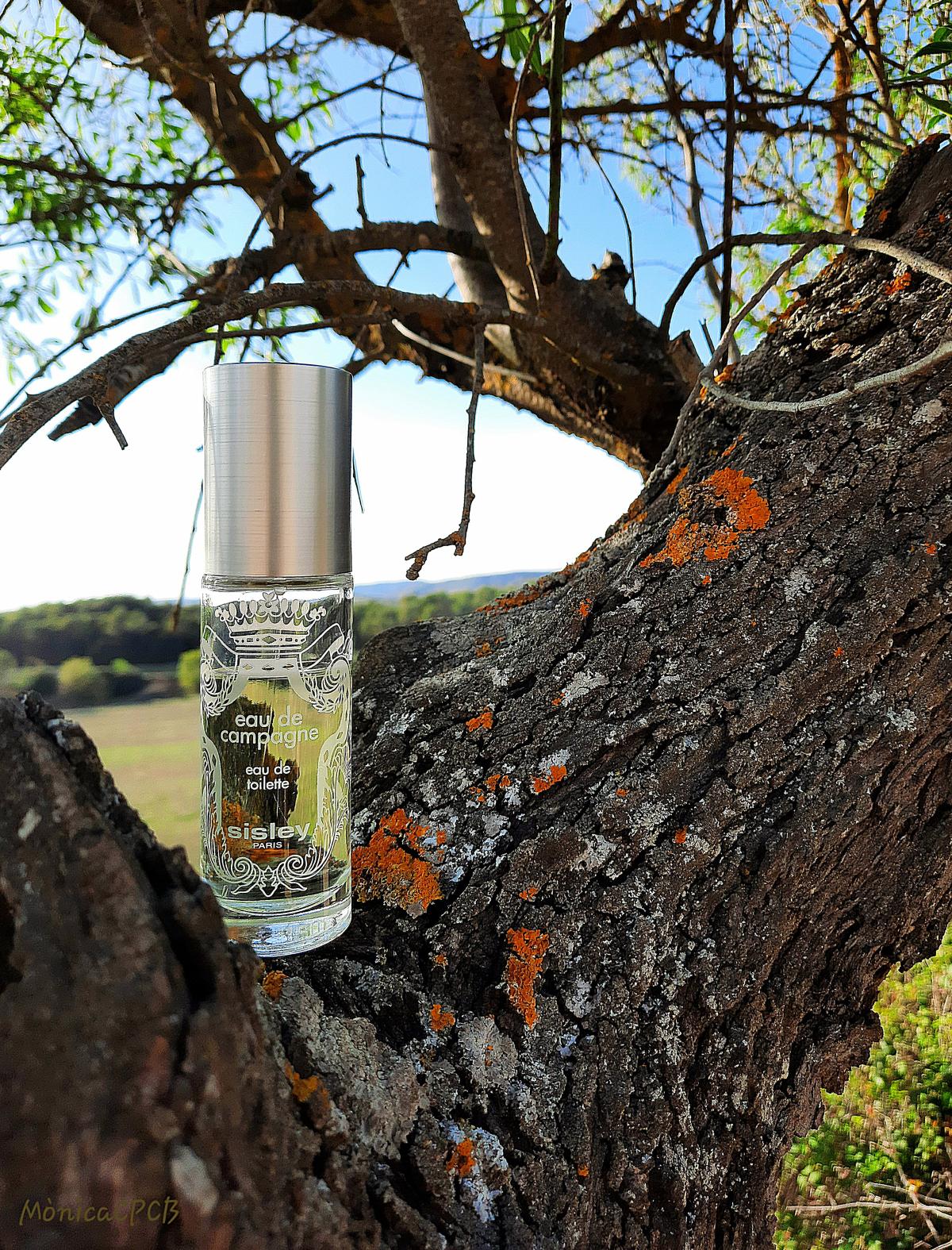 عطر ادکلن اُ دُ کامپاگن سیسلی - Eau de Campagne Sisley - بررسی، قیمت و خرید