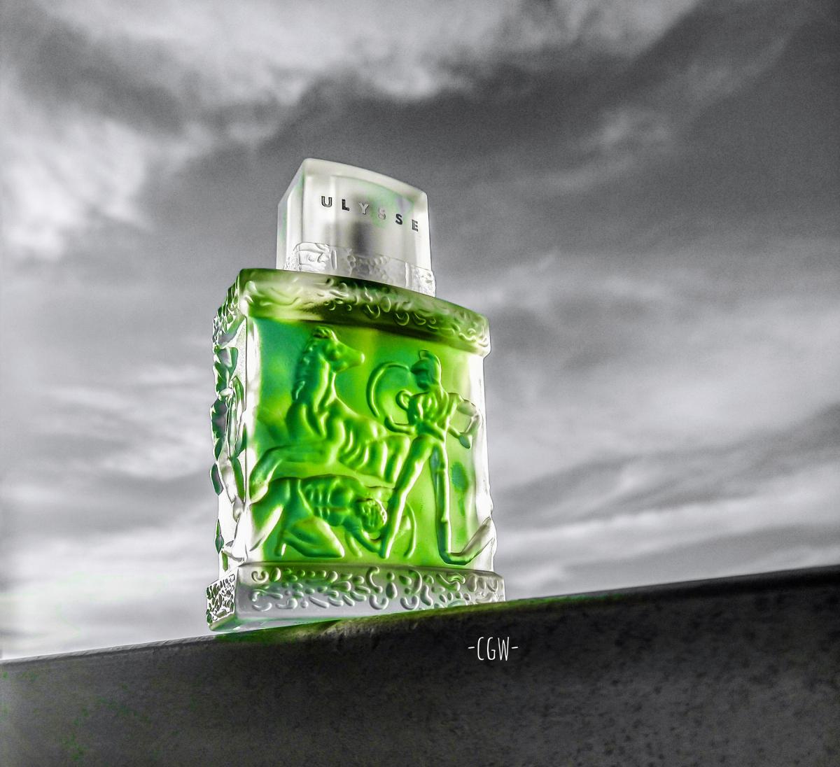 عطر ادکلن اولیس ویکی تیل - Ulysse Vicky Tiel - بررسی، قیمت و خرید