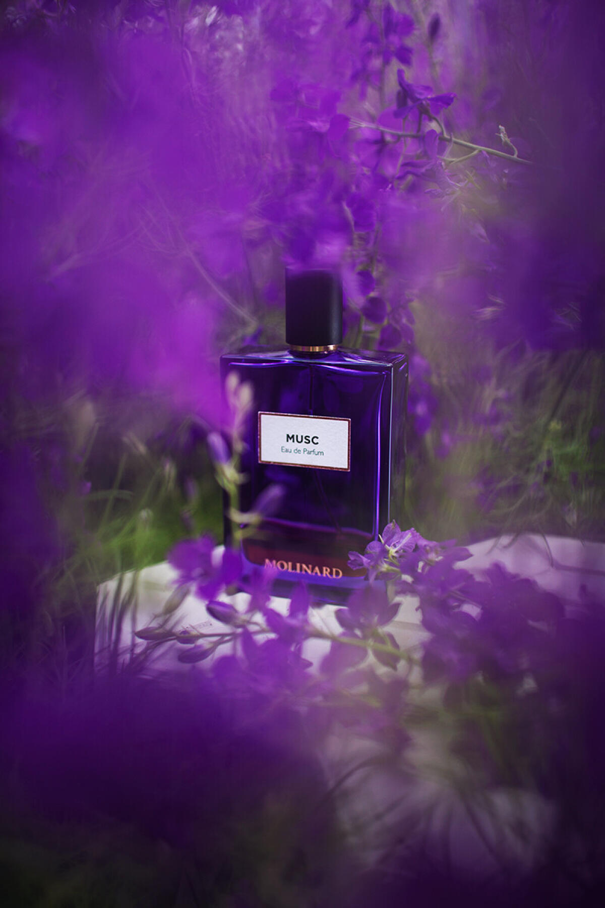 عطر ادکلن ماسک ادو پرفیوم مولینارد - Musc Eau de Parfum Molinard - بررسی، قیمت و خرید