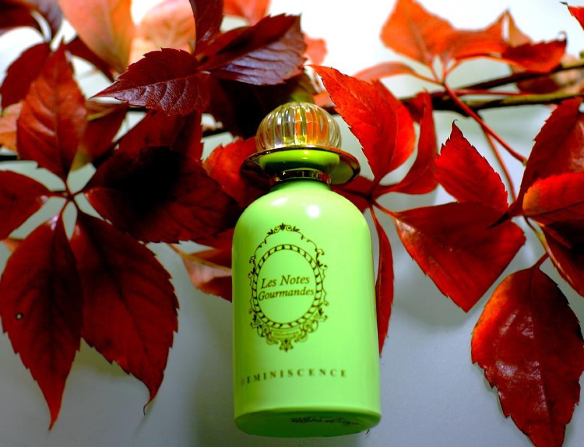 عطر ادکلن هلیوتروپ رمنیسنس - Heliotrope Reminiscence - بررسی، قیمت و خرید