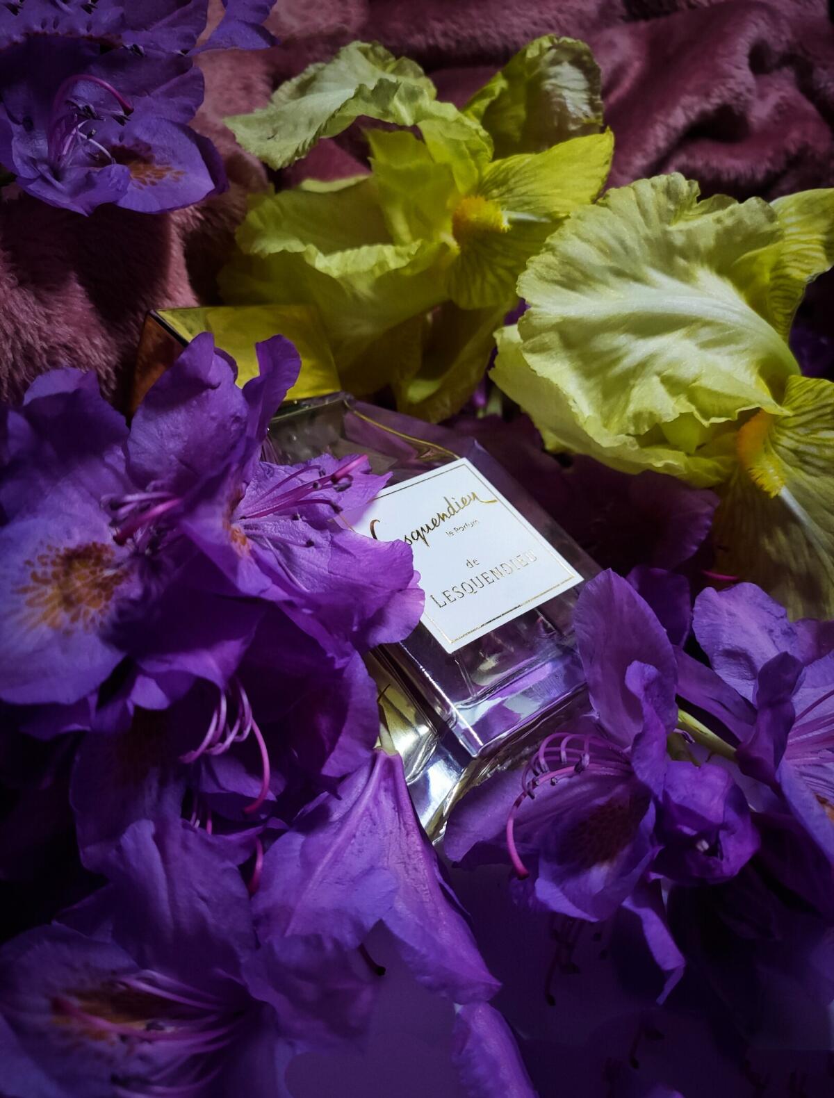 عطر ادکلن عودمار منسفیلد - Oudamar Mansfield - بررسی، قیمت و خرید