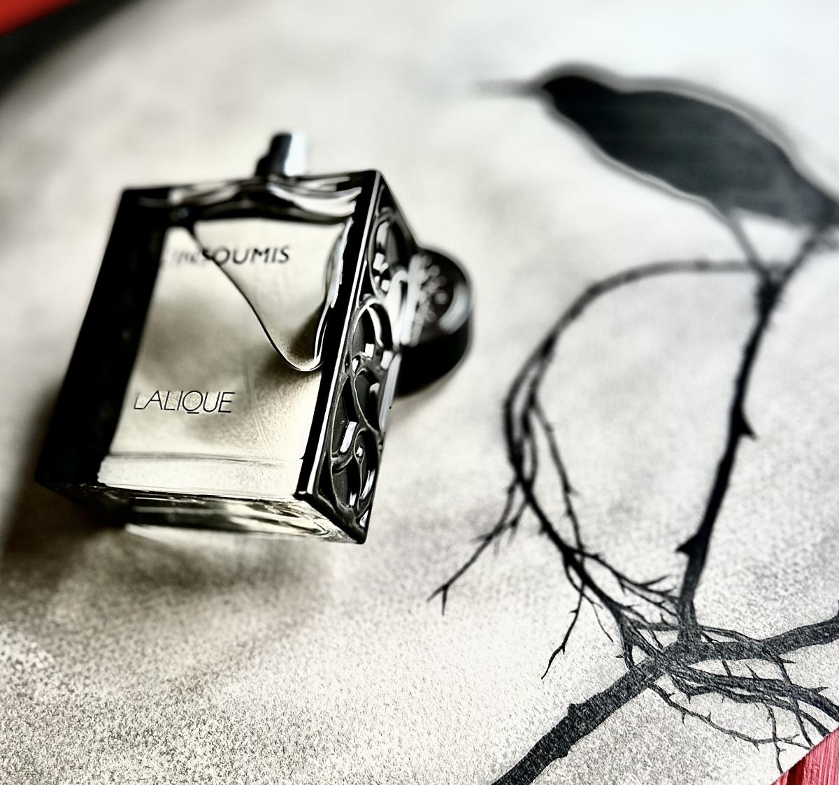 عطر ادکلن لانسومی لالیک - L'Insoumis Lalique - بررسی، قیمت و خرید