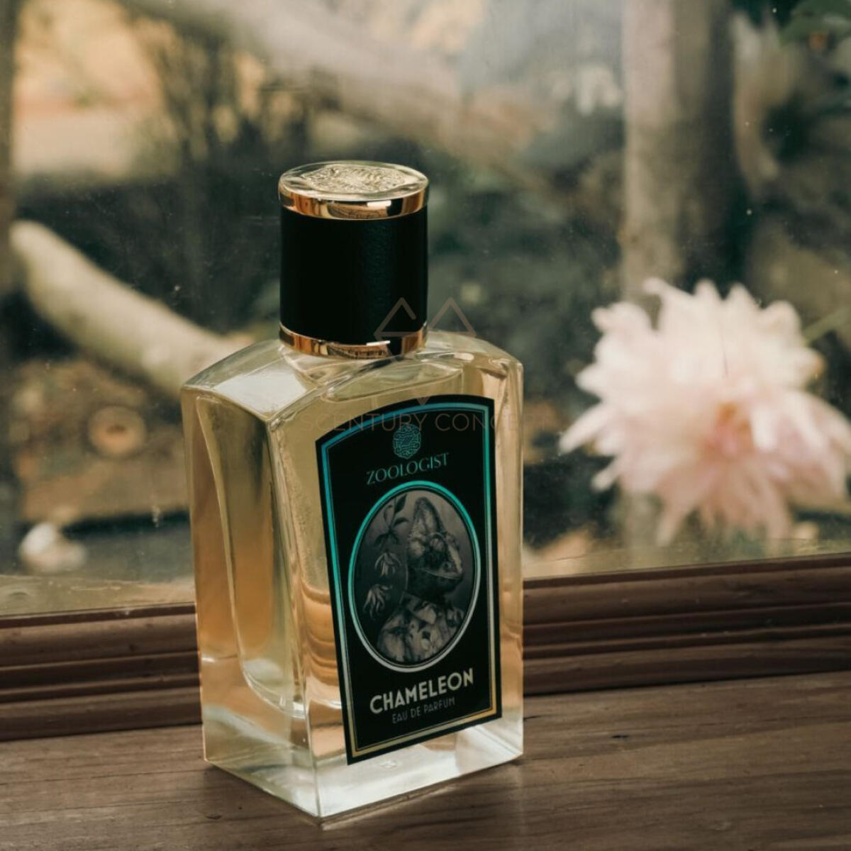 عطر ادکلن کملیون زولوژیست پرفیومز - Chameleon Zoologist Perfumes - بررسی، قیمت و خرید