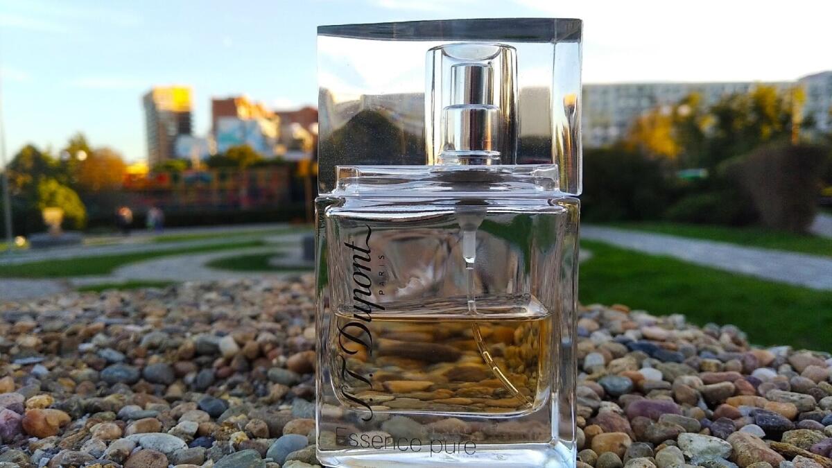 عطر ادکلن اسنس پیور پور فم اس تی دوپونت - Essence Pure Pour Femme S.T. Dupont - بررسی، قیمت و خرید