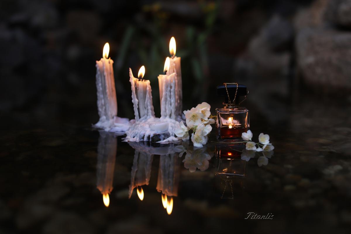 عطر ادکلن نوآ نوار مونا دی اوریو - Nuit Noire Mona di Orio - بررسی، قیمت و خرید