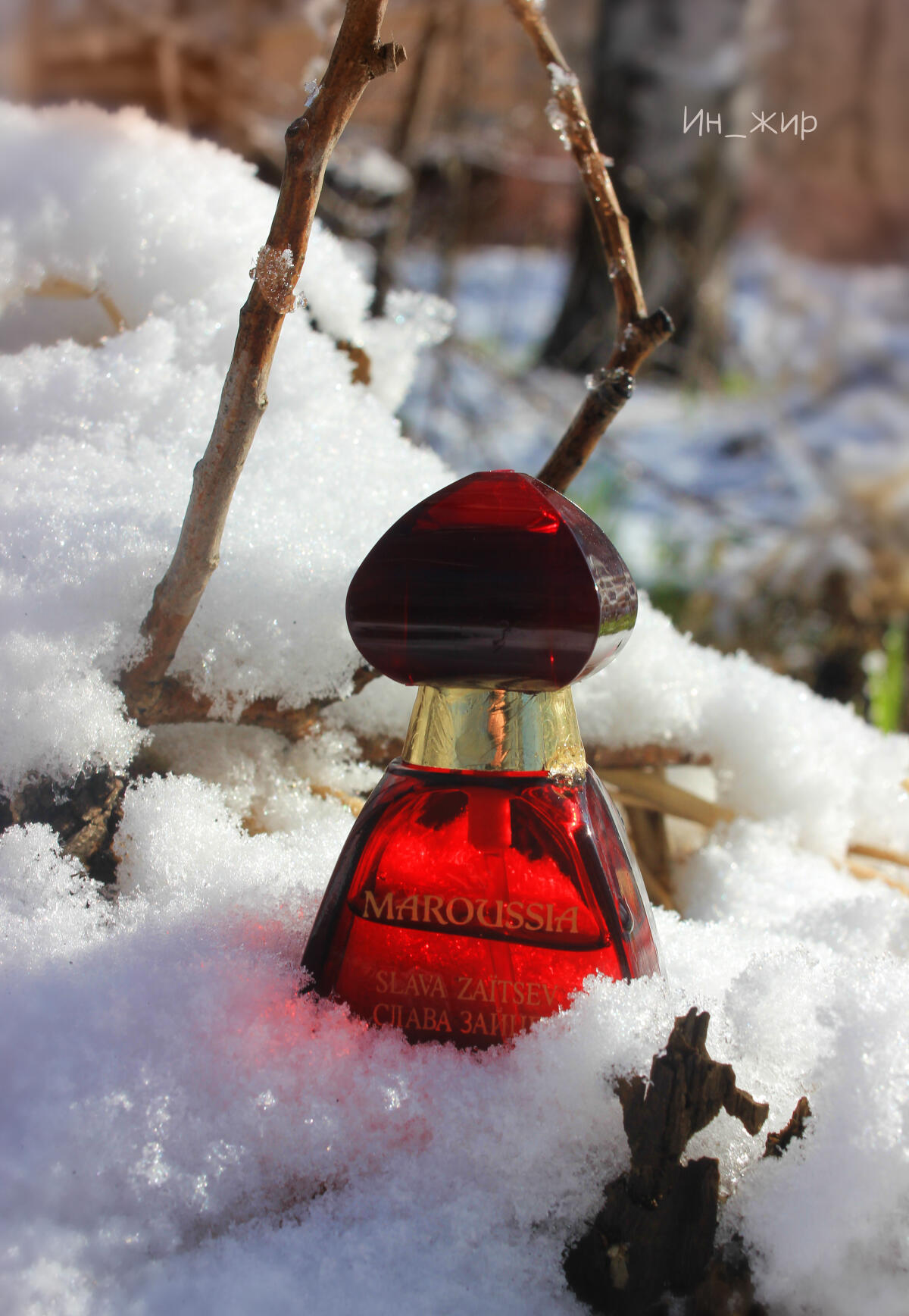 عطر ادکلن ماروسیا اسلاوا زایتسف - Maroussia Slava Zaitsev - بررسی، قیمت و خرید