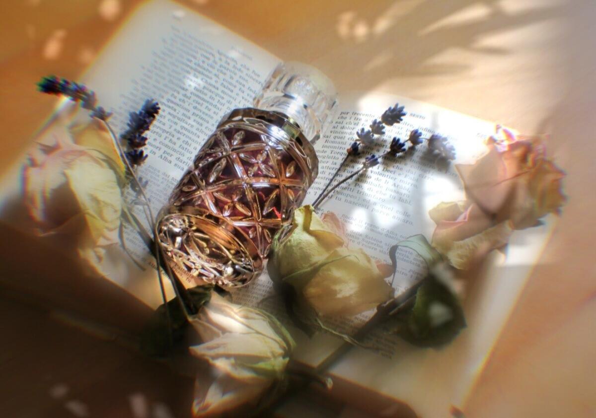 عطر ادکلن فلورانس روبِرتو کاوالی - Florence Roberto Cavalli - بررسی، قیمت و خرید