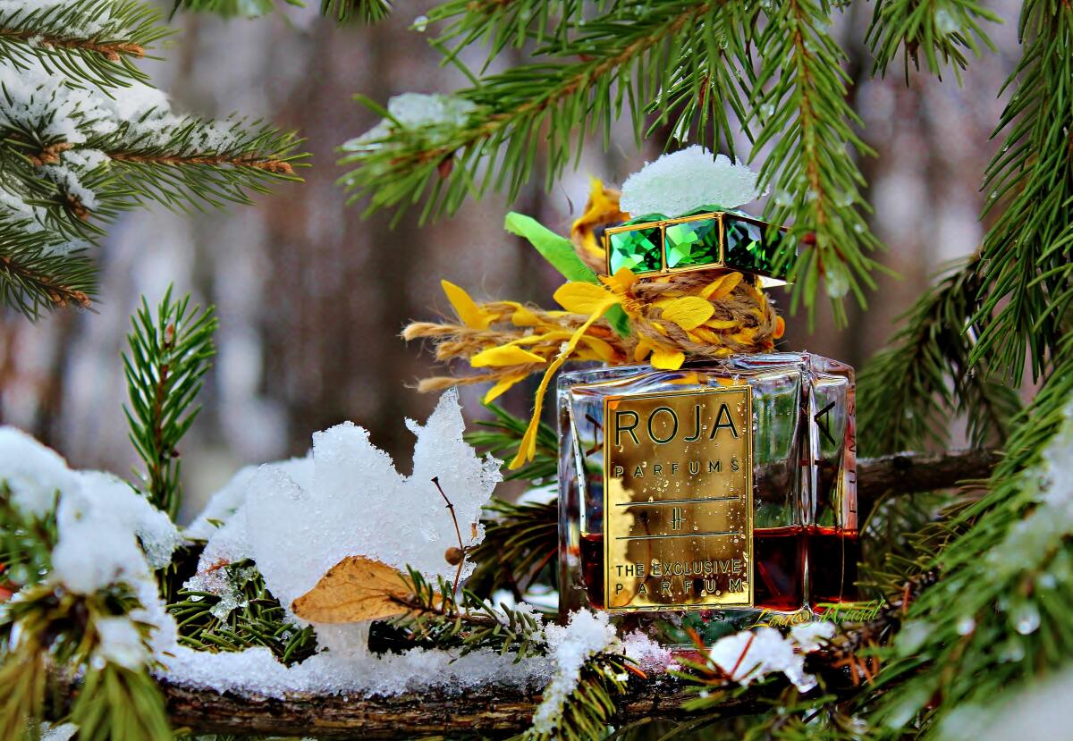 عطر ادکلن اچ د اکسکلوسیو پارفوم روجا داو - H The Exclusive Parfum Roja Dove - بررسی، قیمت و خرید