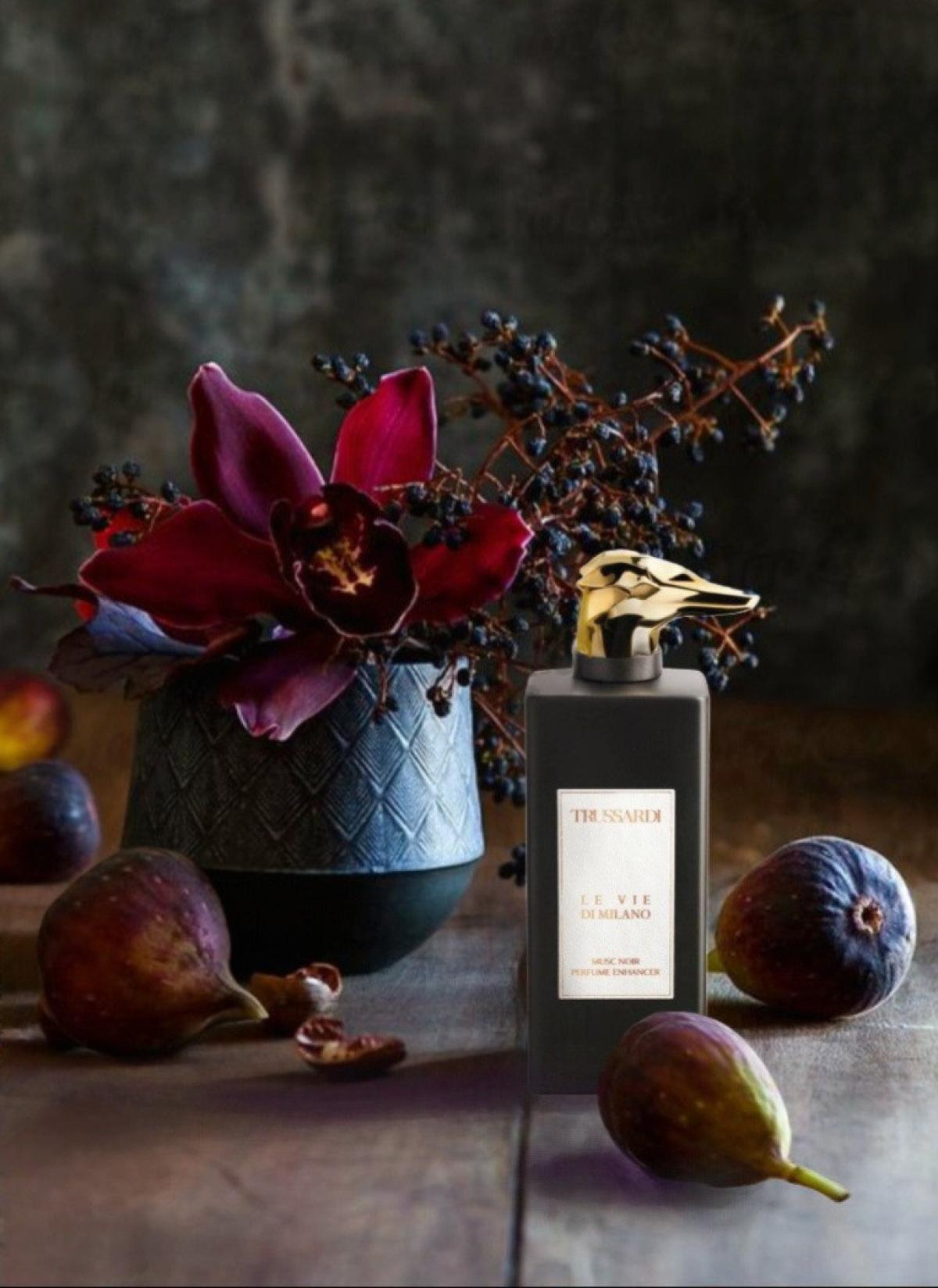 عطر ادکلن ماسک نویر پرفیوم انهنسر تروساردی - Musc Noir Perfume Enhancer Trussardi - بررسی، قیمت و خرید