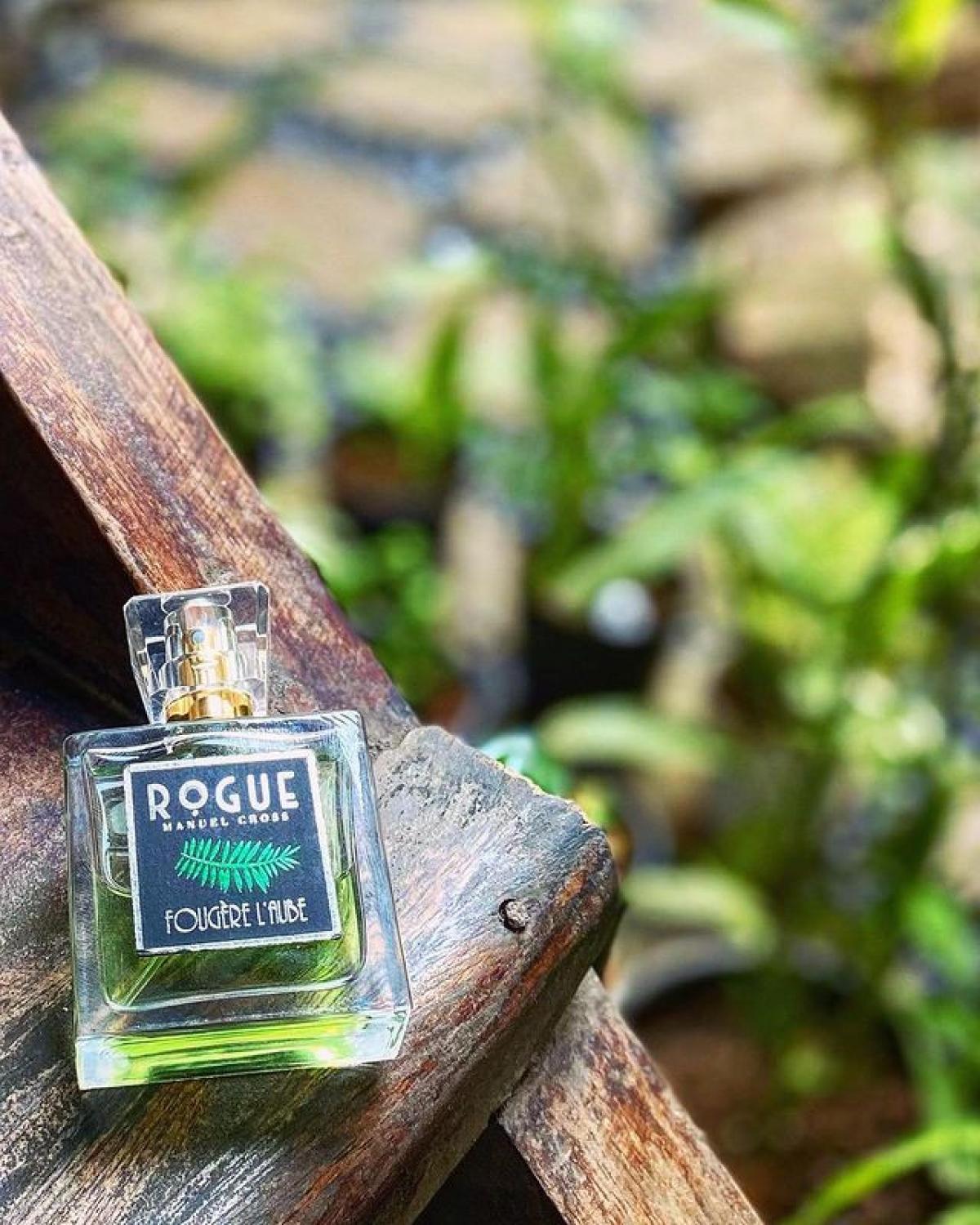 عطر ادکلن فوجر ل اوب روگ پرفیومری - Fougere L’Aube Rogue Perfumery - بررسی، قیمت و خرید