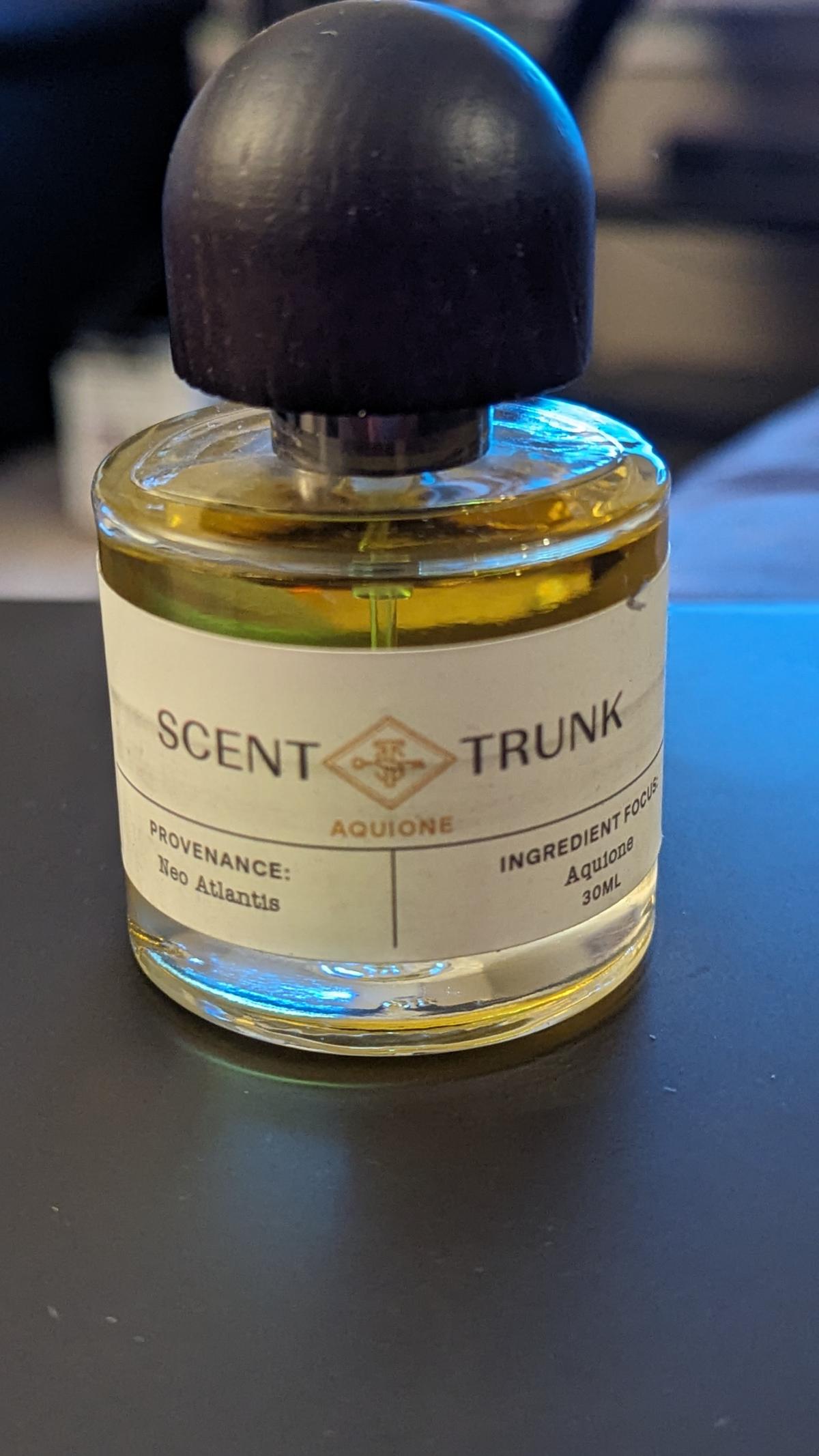 عطر ادکلن آکیونه سنت ترانک - Aquione Scent Trunk - بررسی، قیمت و خرید