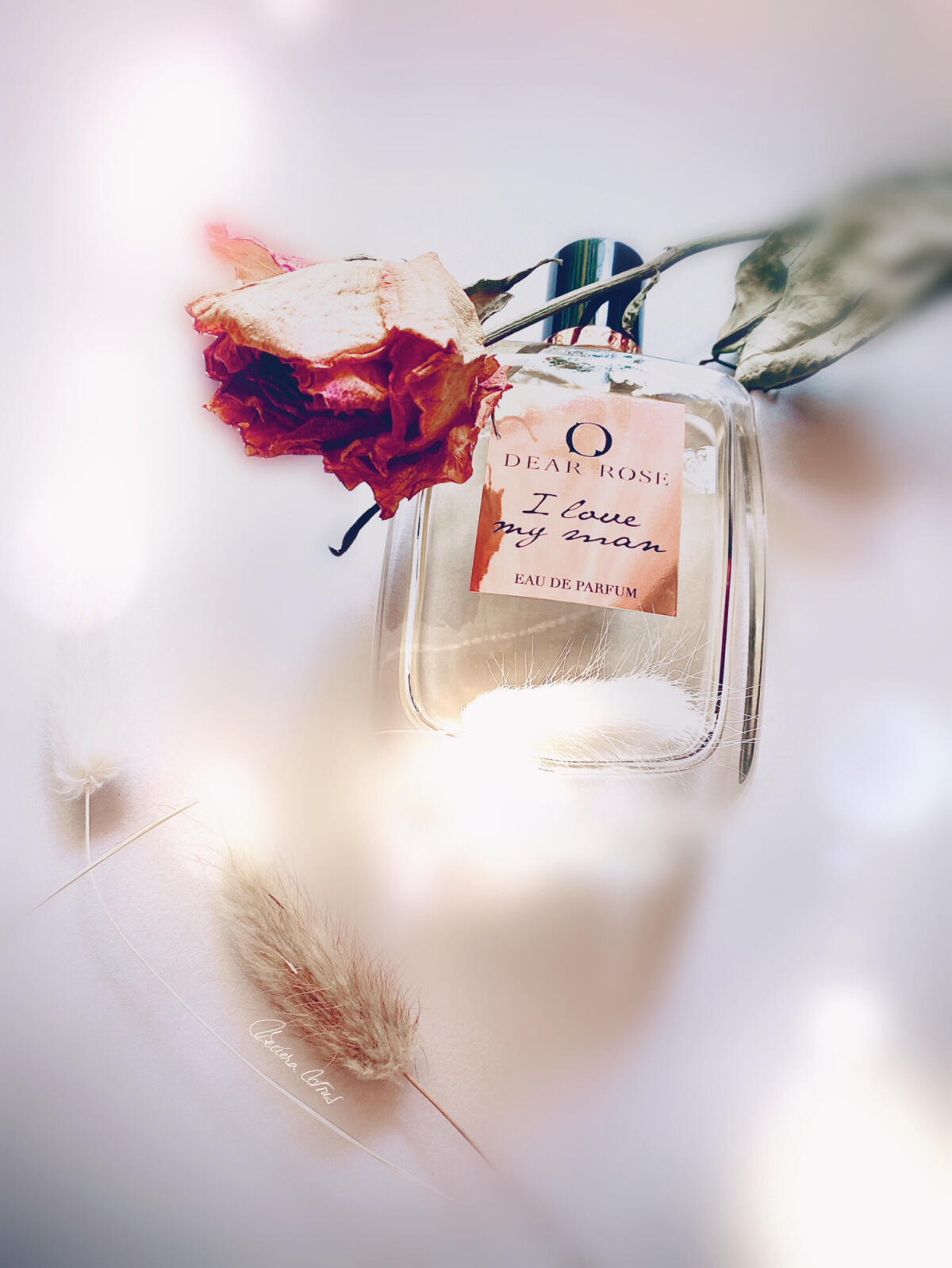 عطر ادکلن آی لاو مای من روس اند روس - I Love My Man Roos & Roos - بررسی، قیمت و خرید