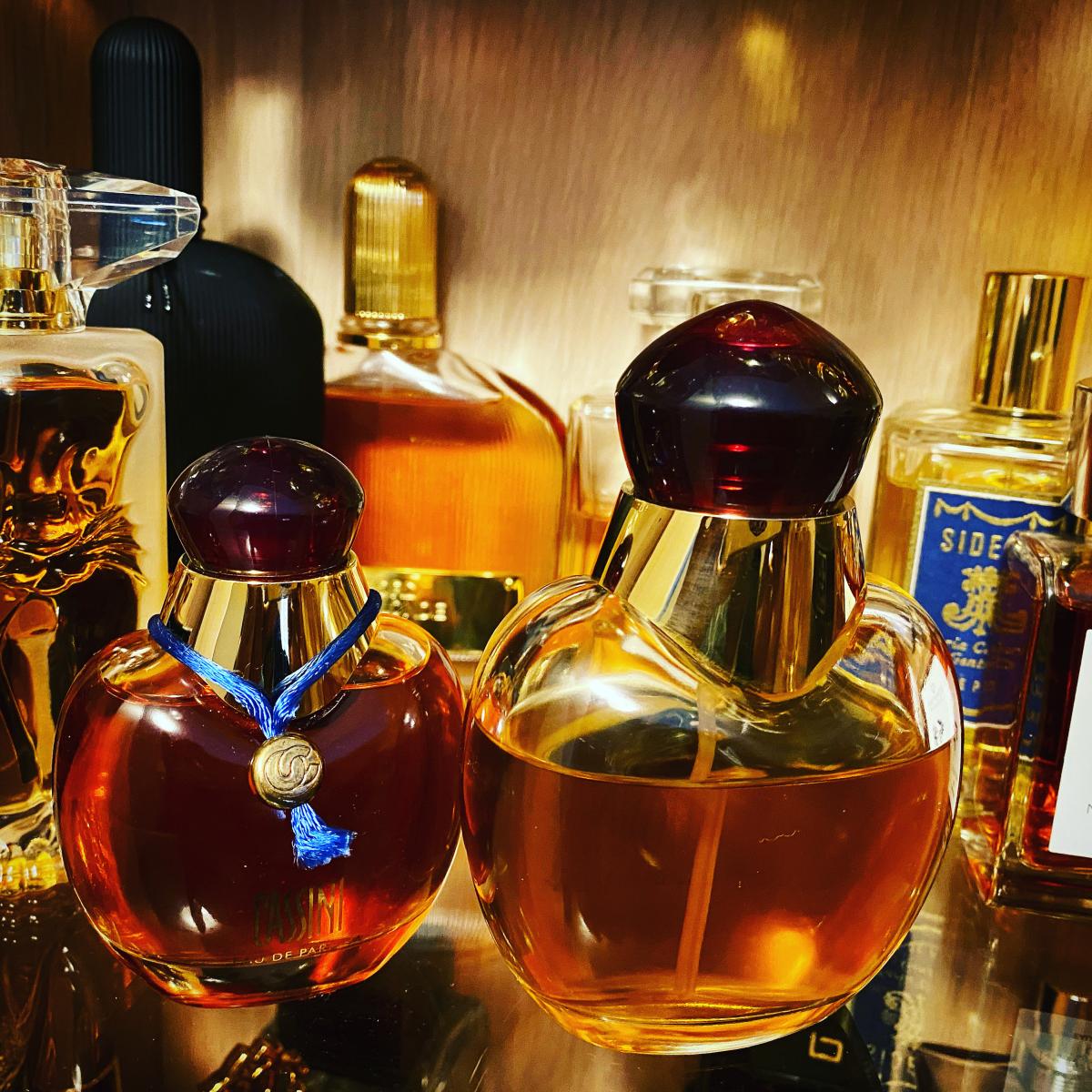 عطر ادکلن سیدریس ماریا کاندیدا جنتیله - Sideris Maria Candida Gentile - بررسی، قیمت و خرید