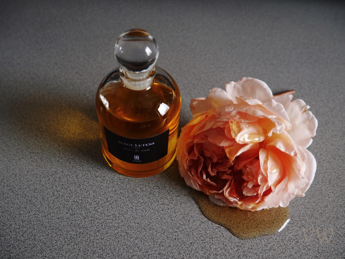 عطر ادکلن روز د نویی سرژ لوتنس - Rose de Nuit Serge Lutens - بررسی، قیمت و خرید