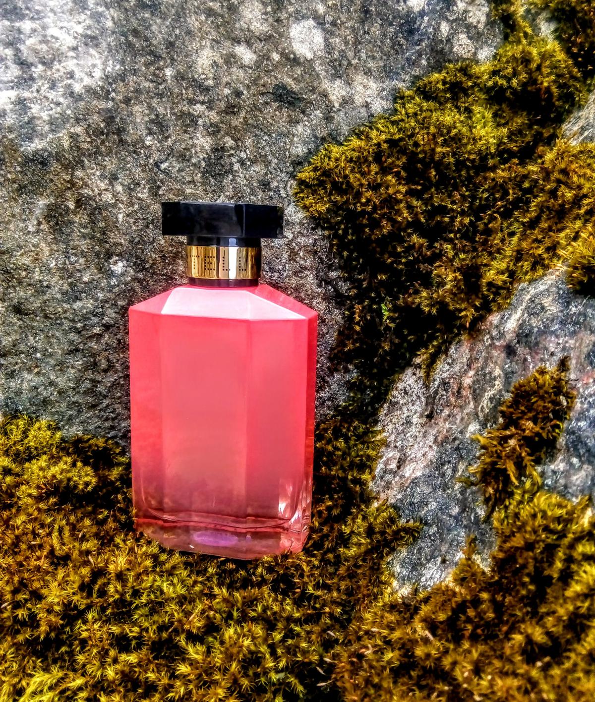عطر ادکلن استلا پیونی استلا مک‌کارتنی - Stella Peony Stella McCartney - بررسی، قیمت و خرید