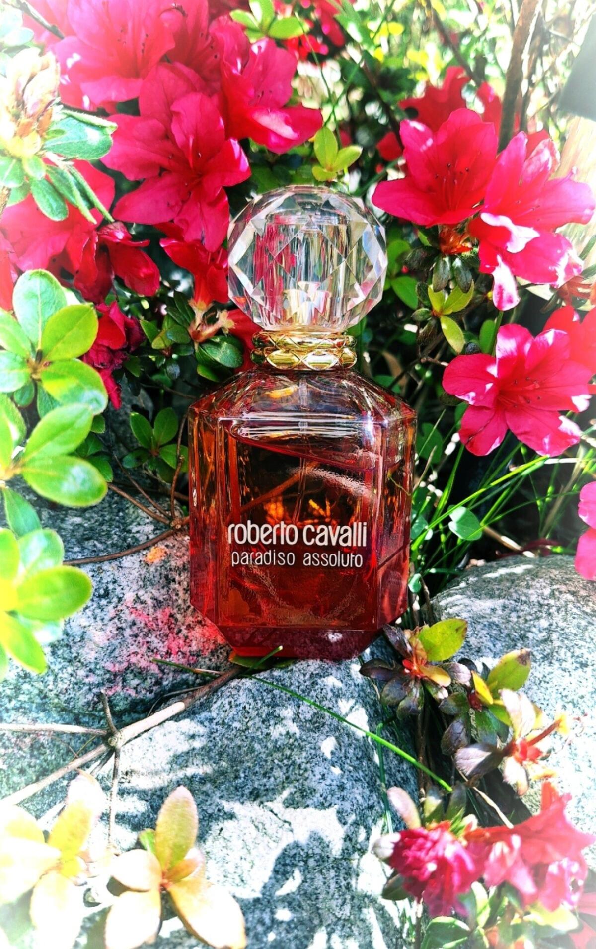 عطر ادکلن پردیزو اسولوتو روبرتو کاوالی - Paradiso Assoluto Roberto Cavalli - بررسی، قیمت و خرید