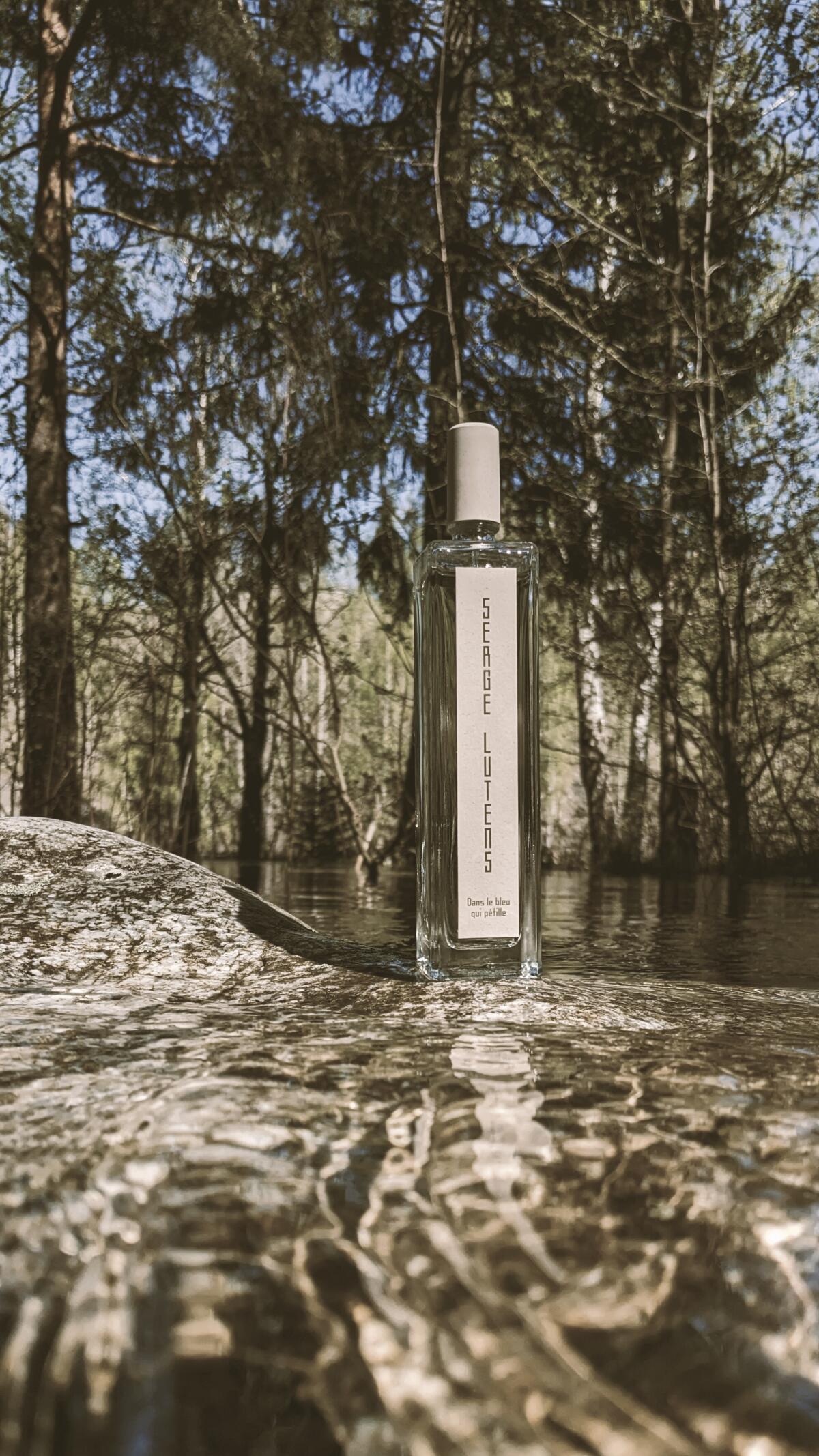 عطر ادکلن دان له بلو کی پتَیل سرج لوتنس - Dans Le Bleu Qui Pétille Serge Lutens - بررسی، قیمت و خرید