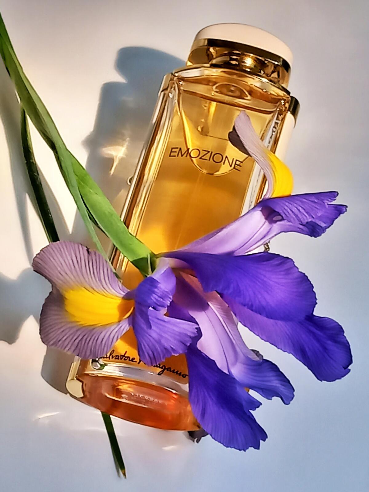 عطر ادکلن اِموتسیونه سالواتوره فراگامو - Emozione Salvatore Ferragamo - بررسی، قیمت و خرید