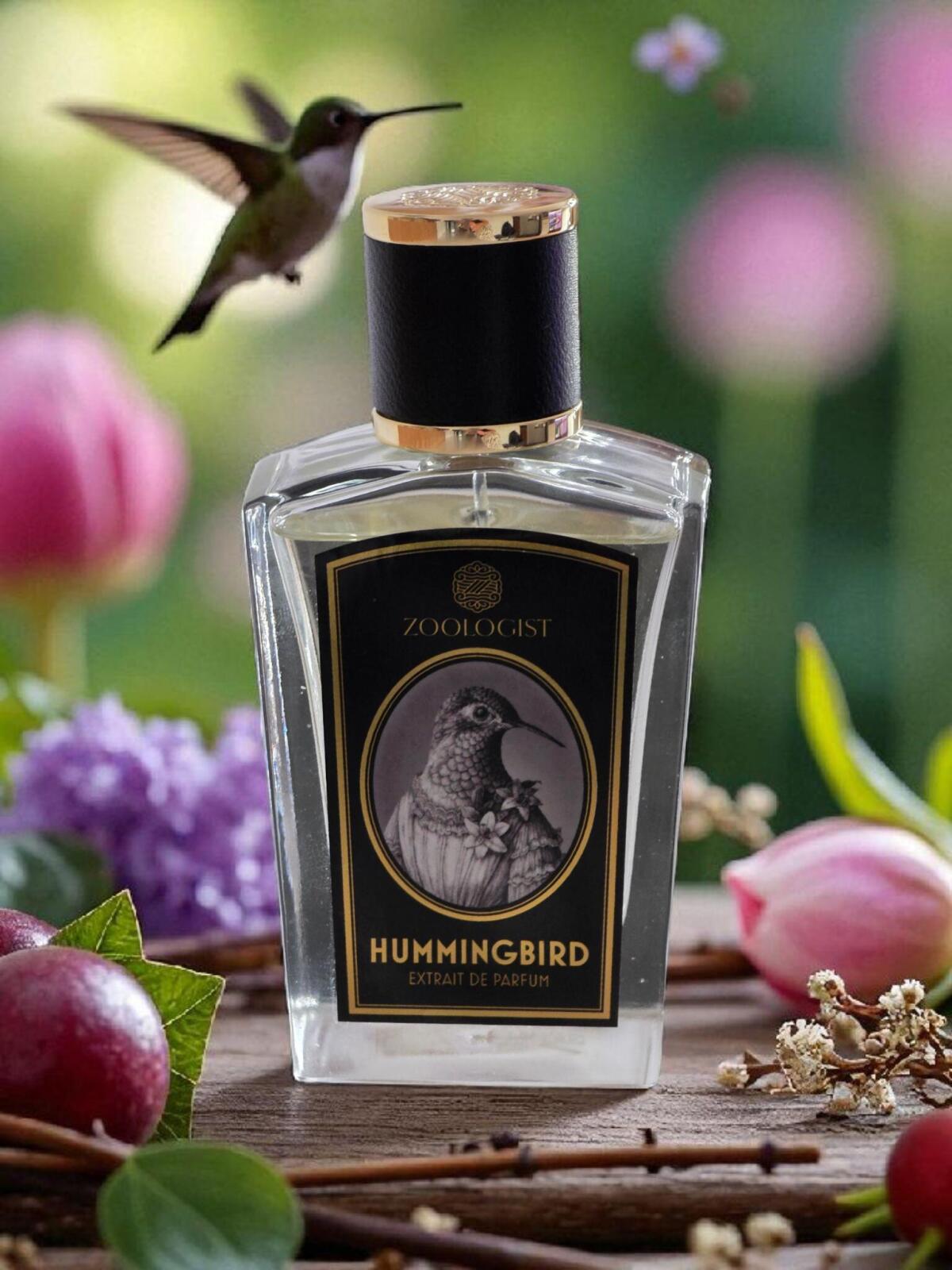 عطر ادکلن هامینگبرد زوالاجیست پرفیومز - Hummingbird Zoologist Perfumes - بررسی، قیمت و خرید