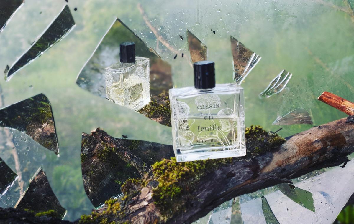 عطر ادکلن کاسیس آن فوی میلر هریس - Cassis en Feuille Miller Harris - بررسی، قیمت و خرید