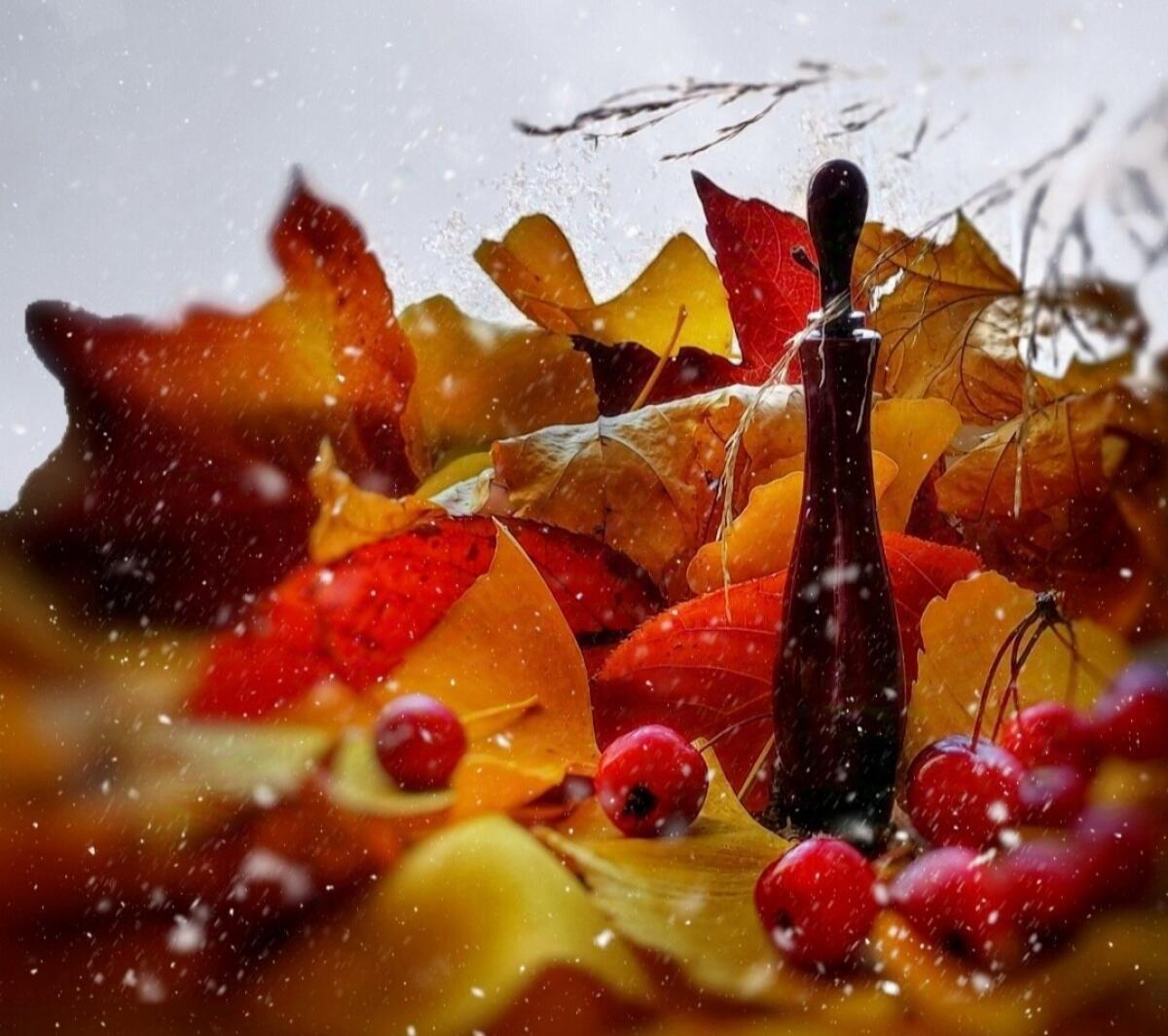 عطر ادکلن فمنیت دو بوا شیسیدو - Feminite du Bois Shiseido - بررسی، قیمت و خرید