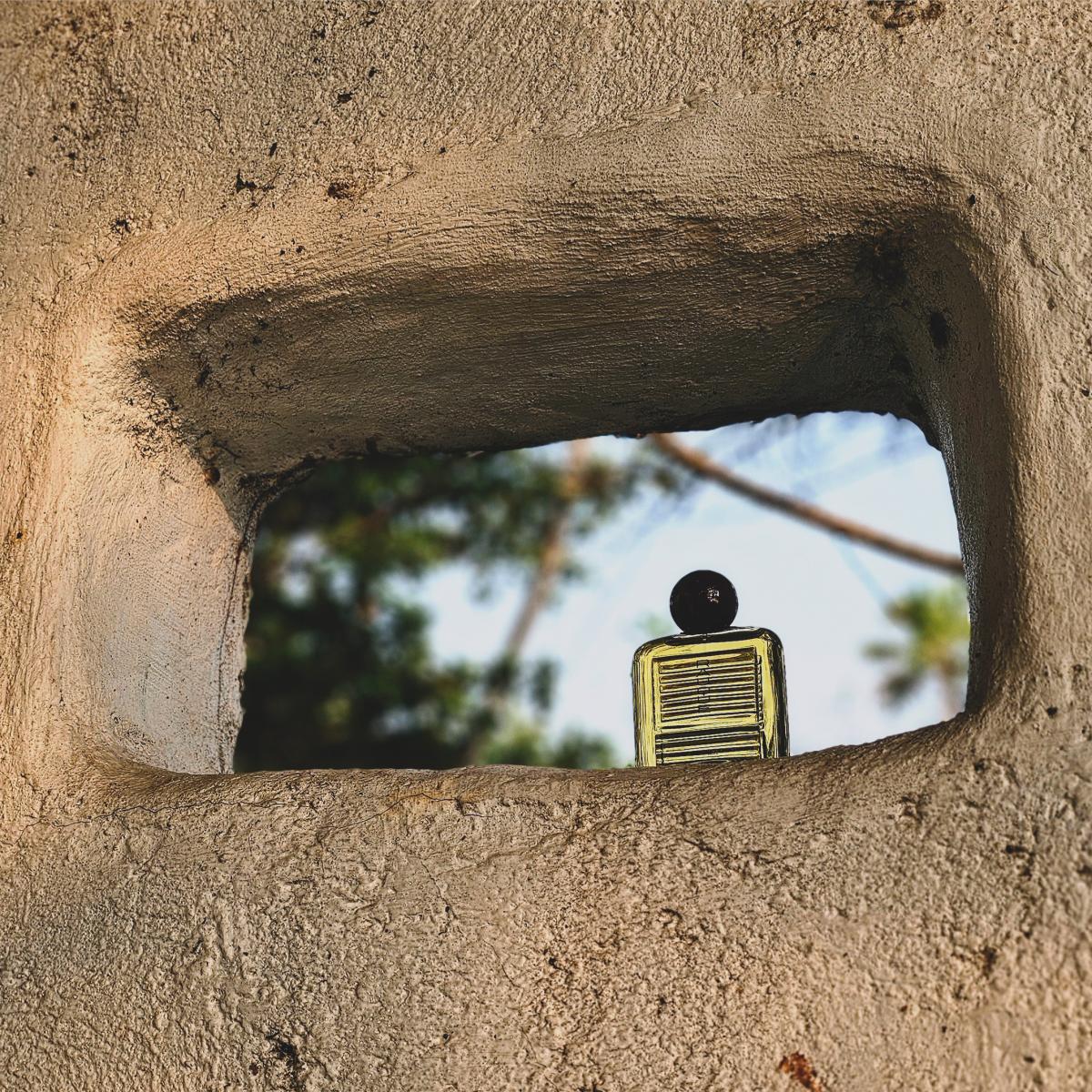 عطر ادکلن راوک روبرتو گریگو - Rauque Roberto Greco - بررسی، قیمت و خرید