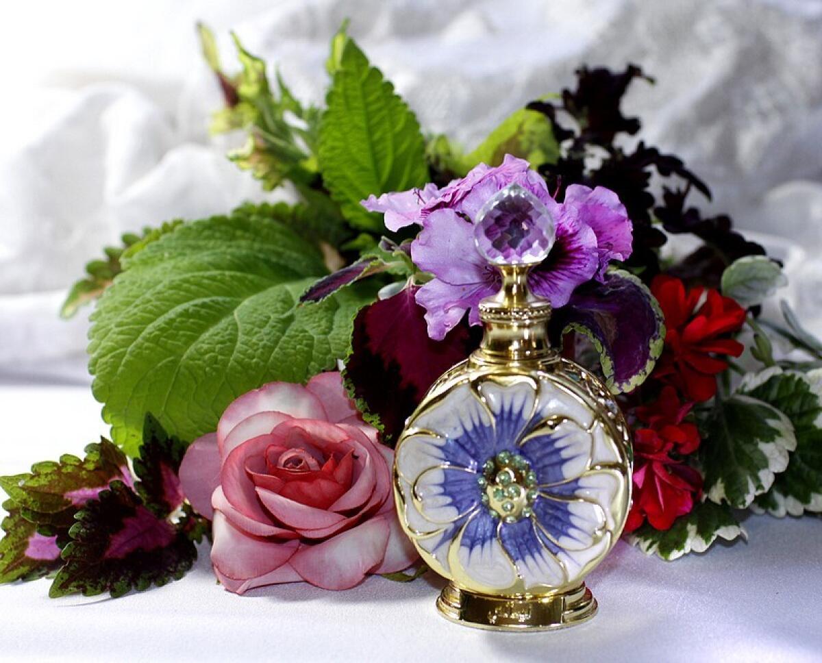 عطر ادکلن لایالی سوییس عربین - Layali Swiss Arabian - بررسی، قیمت و خرید