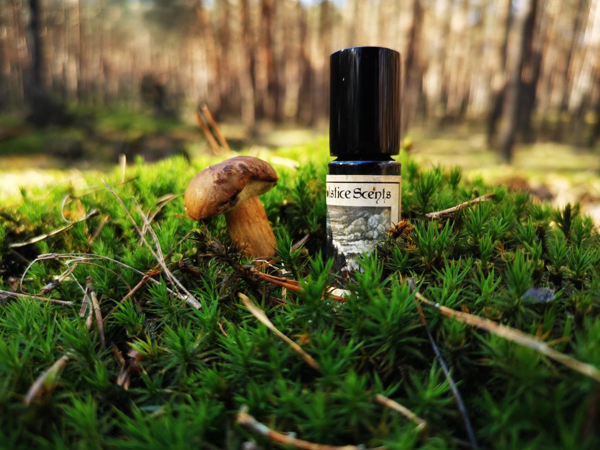 عطر ادکلن اسموکی مونتن مالو سولستیس سنتز - Smoky Mountain Mallow Solstice Scents - بررسی، قیمت و خرید